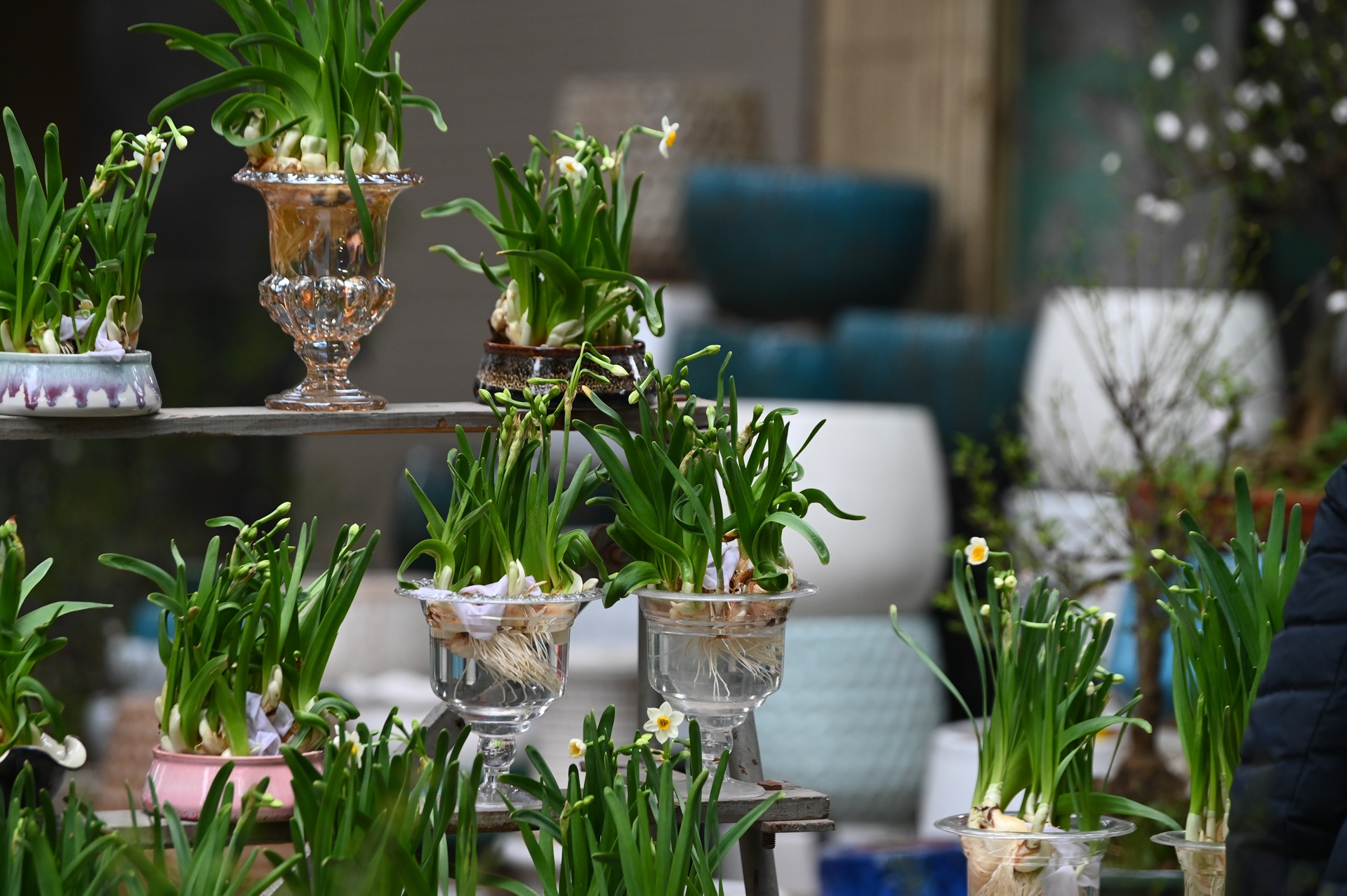 Dao quat dai ha gia van e khach anh 4