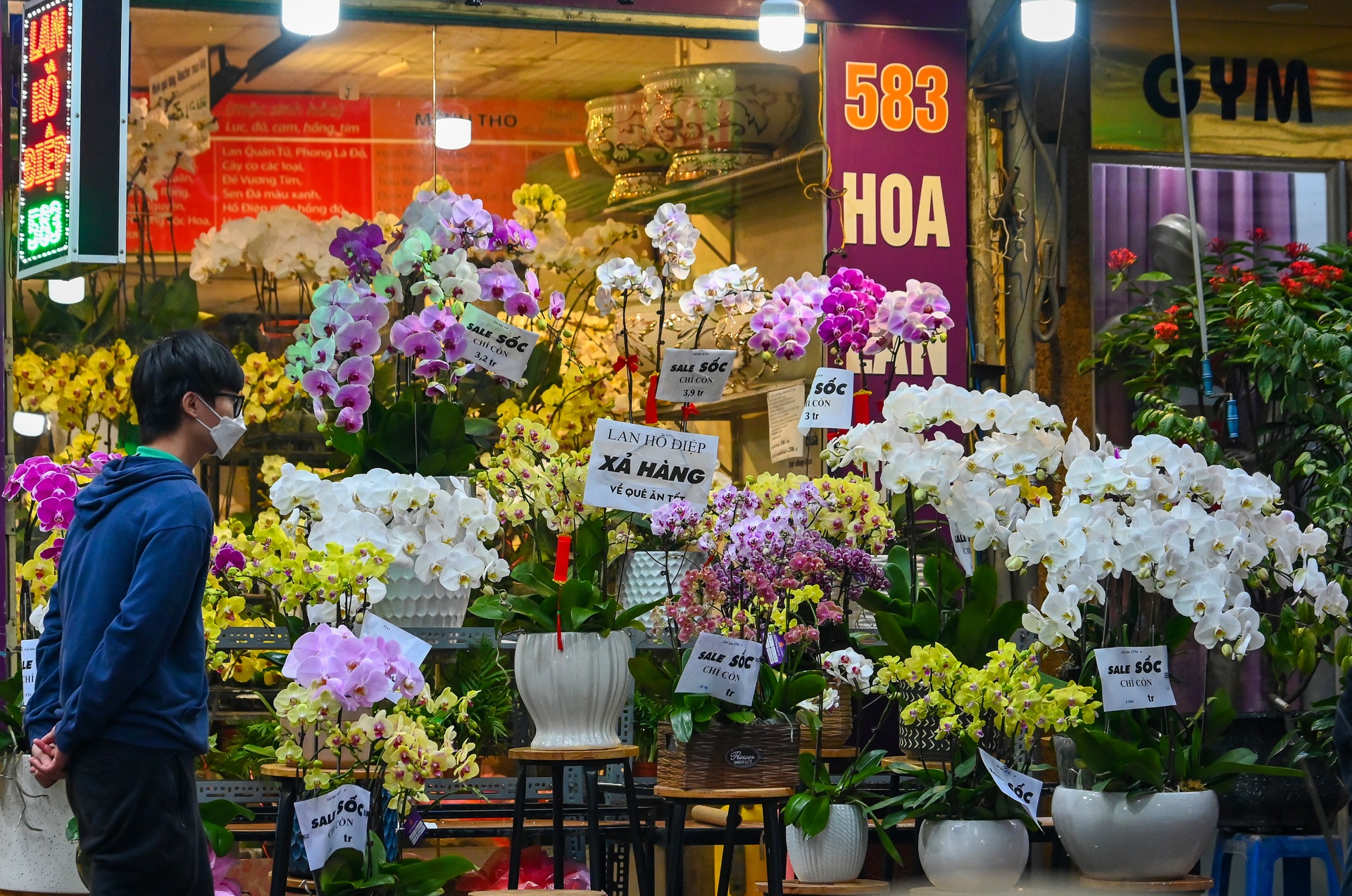 Dao quat dai ha gia van e khach anh 6