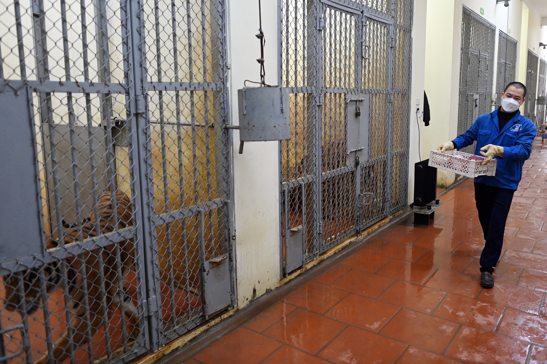 Nguoi cham ho vuon thu Ha Noi anh 3