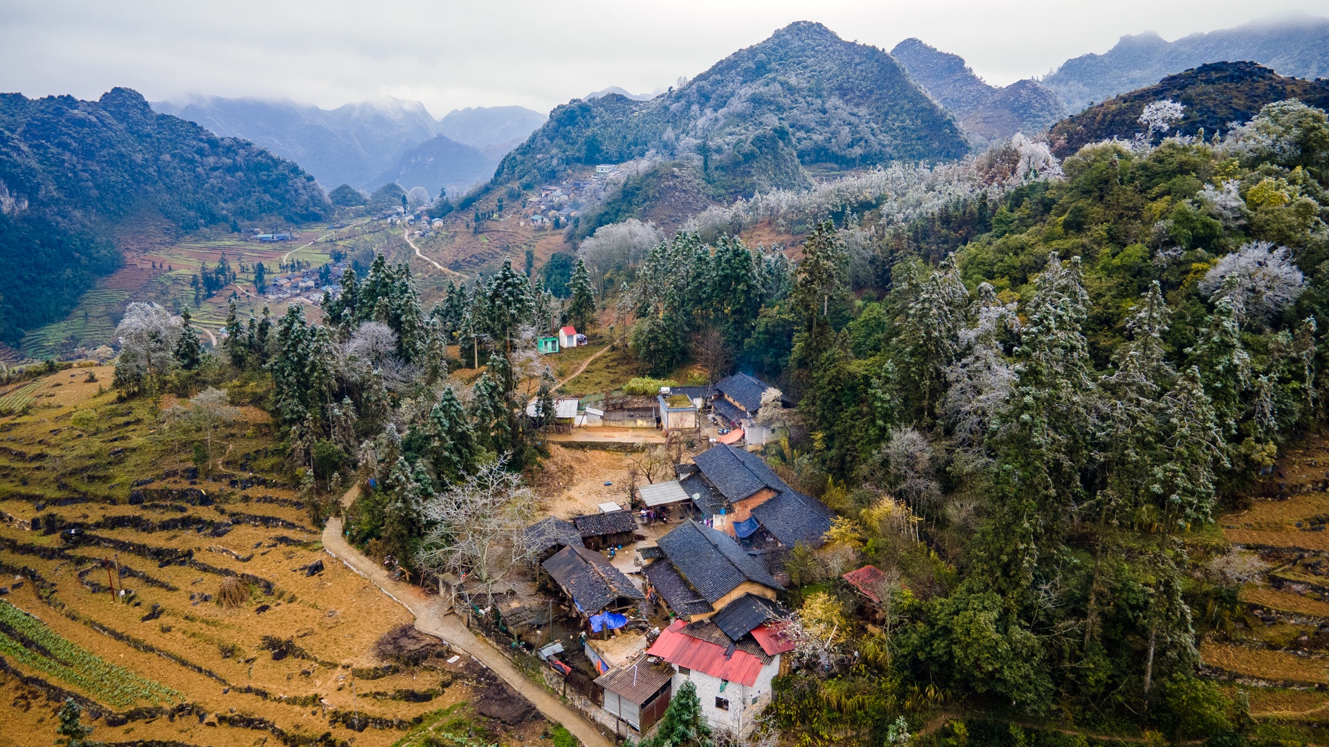 Du khach do ve Ha Giang san tuyet anh 1