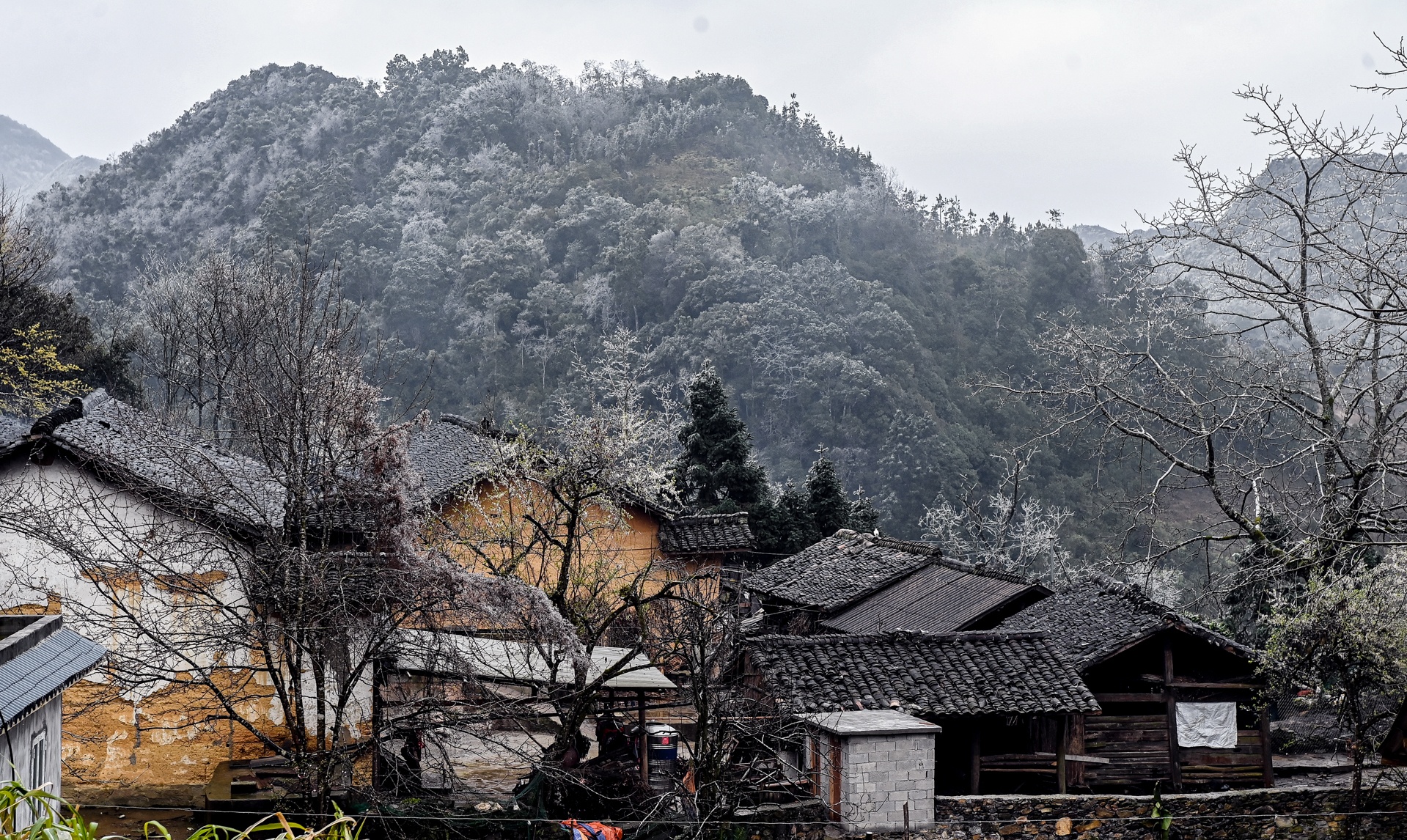 Du khach do ve Ha Giang san tuyet anh 2