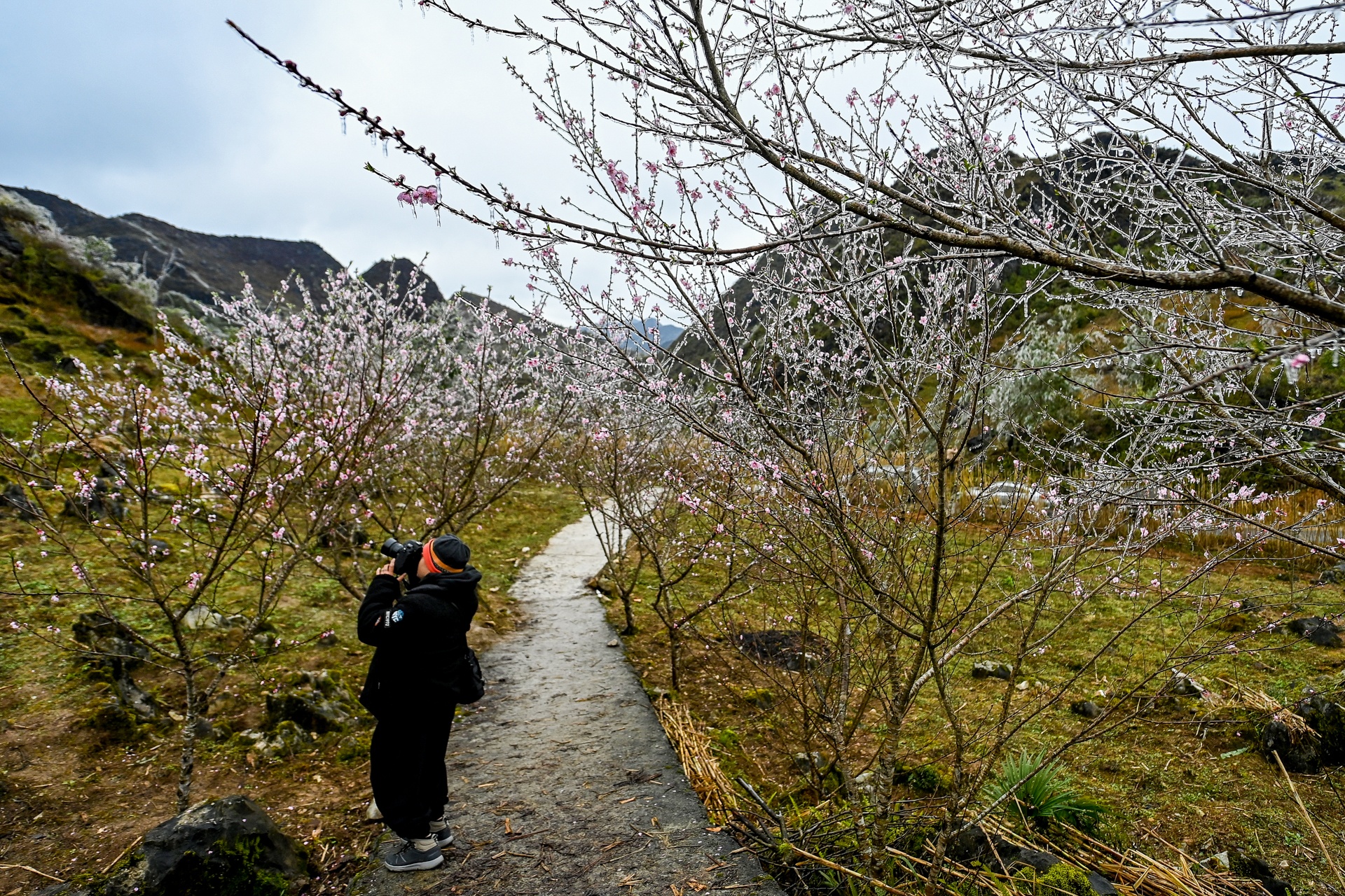 Du khach do ve Ha Giang san tuyet anh 9