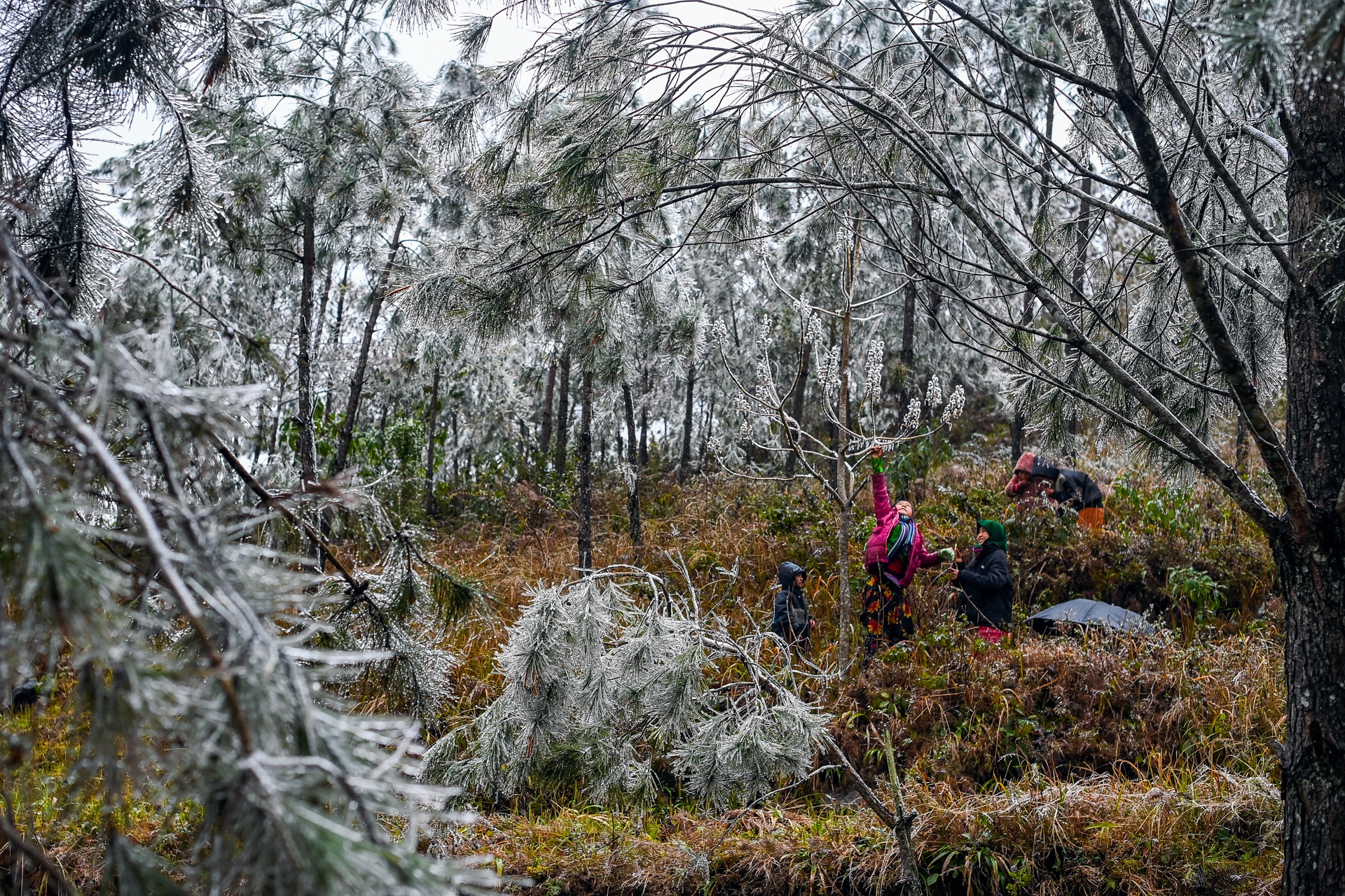 Tre em vung cao nghich tuyet anh 1