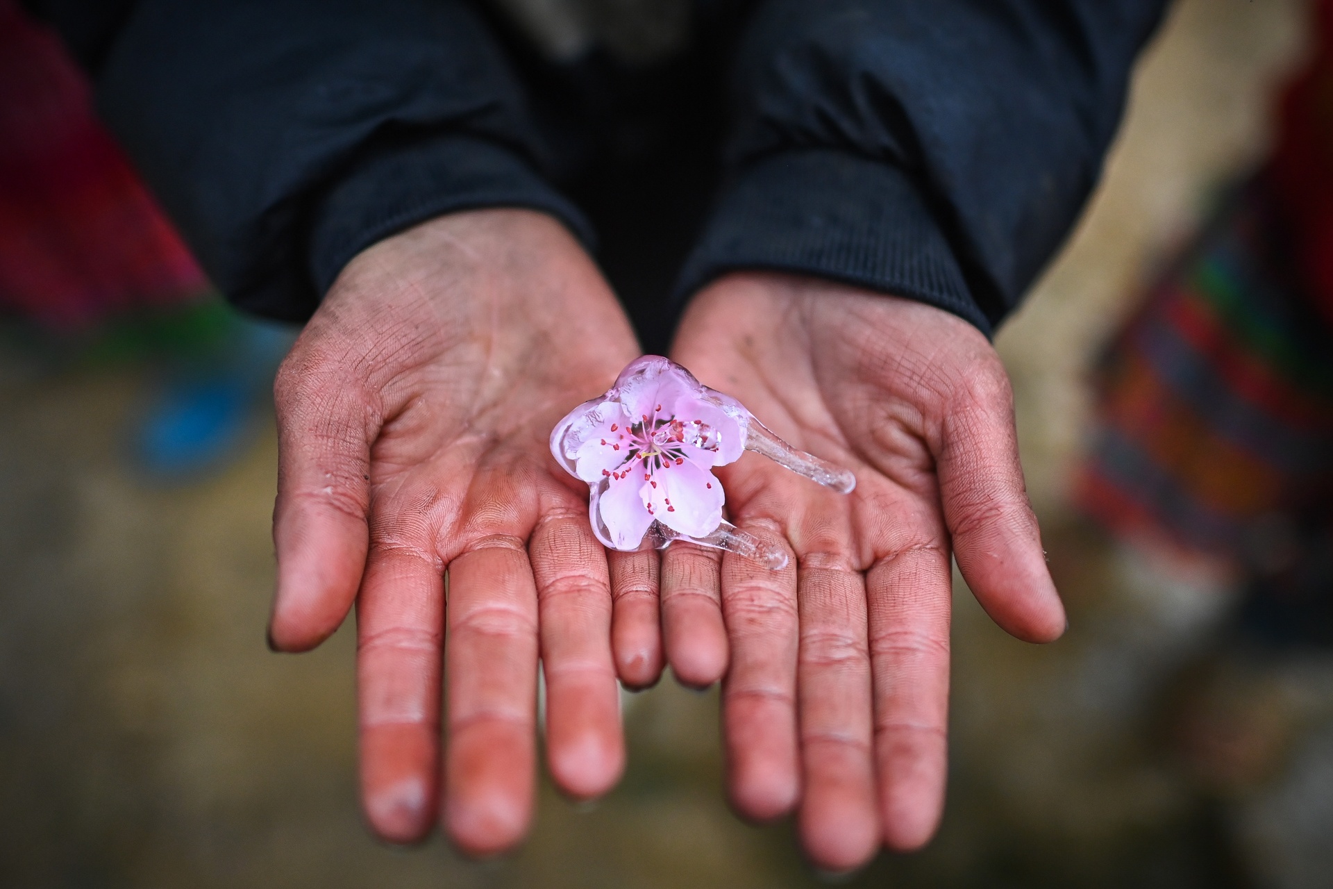 Tre em vung cao nghich tuyet anh 8