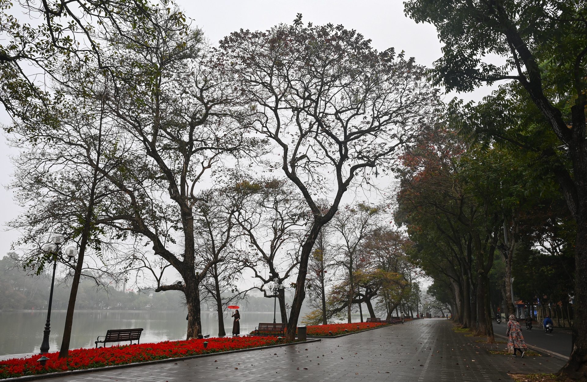 Duong pho Ha Noi vang ve anh 1