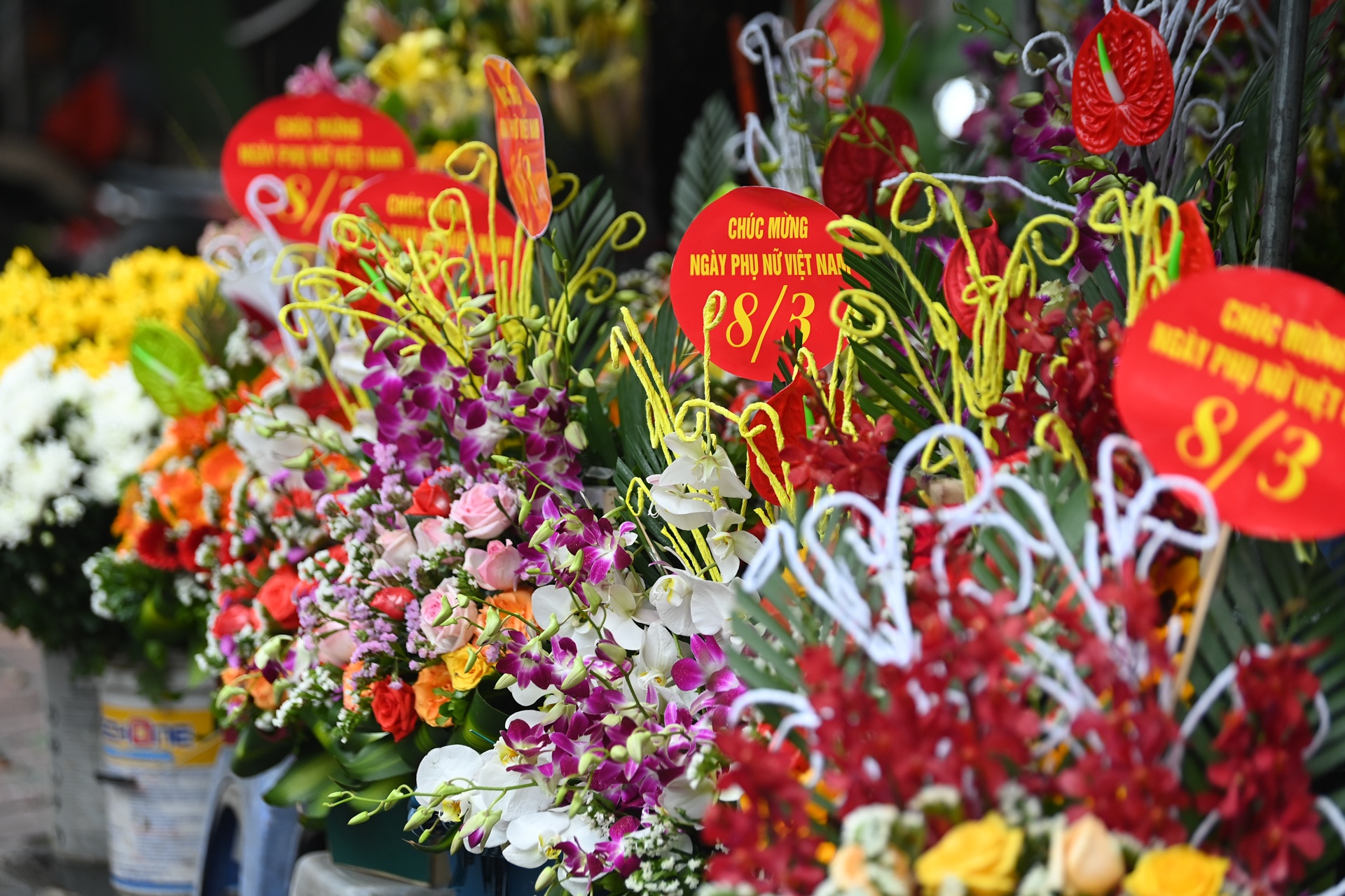 Hoa tuoi tang gia manh ngay 8/3 anh 3