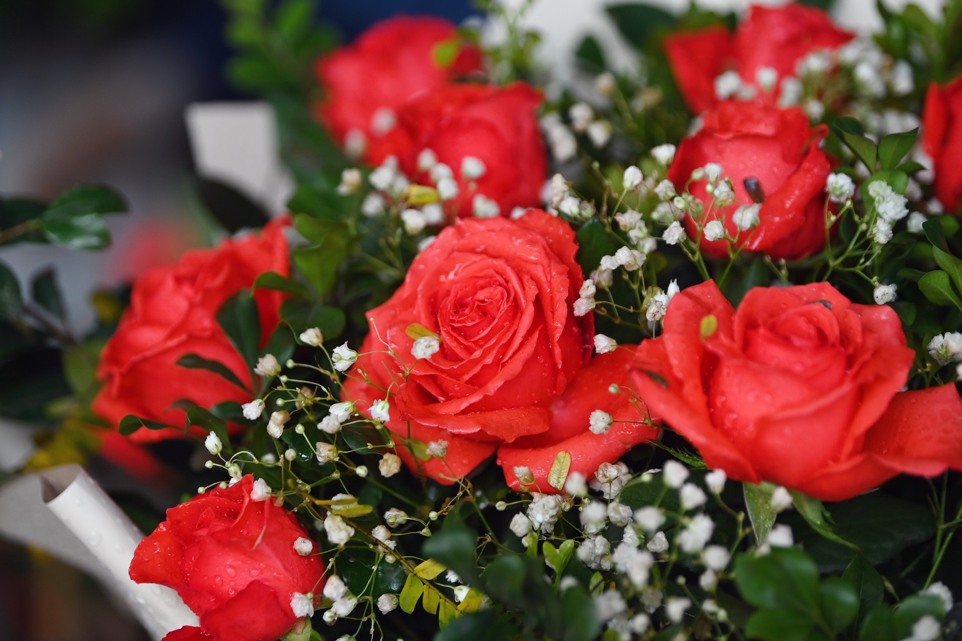 Hoa tuoi tang gia manh ngay 8/3 anh 4