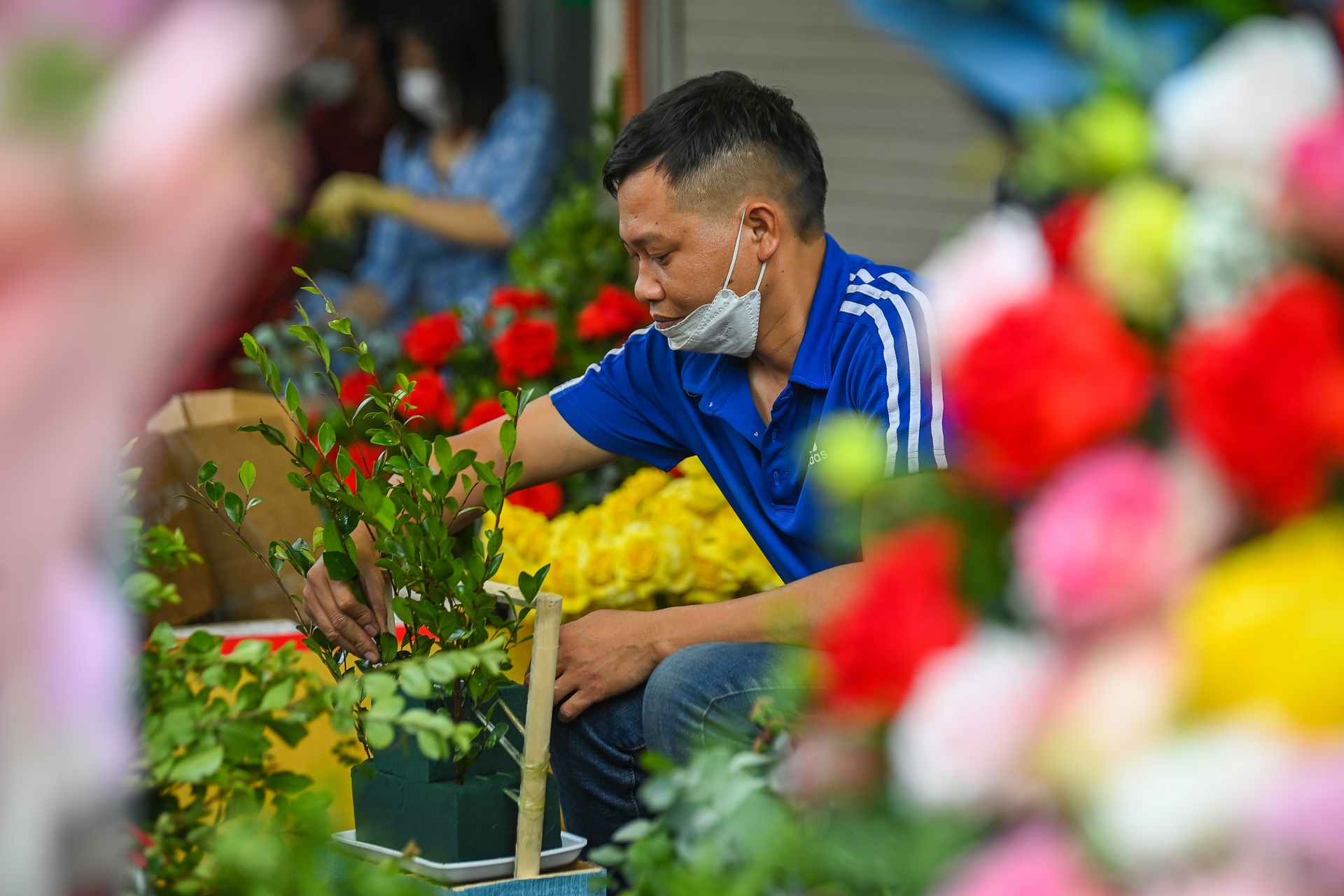 Hoa tuoi tang gia manh ngay 8/3 anh 8
