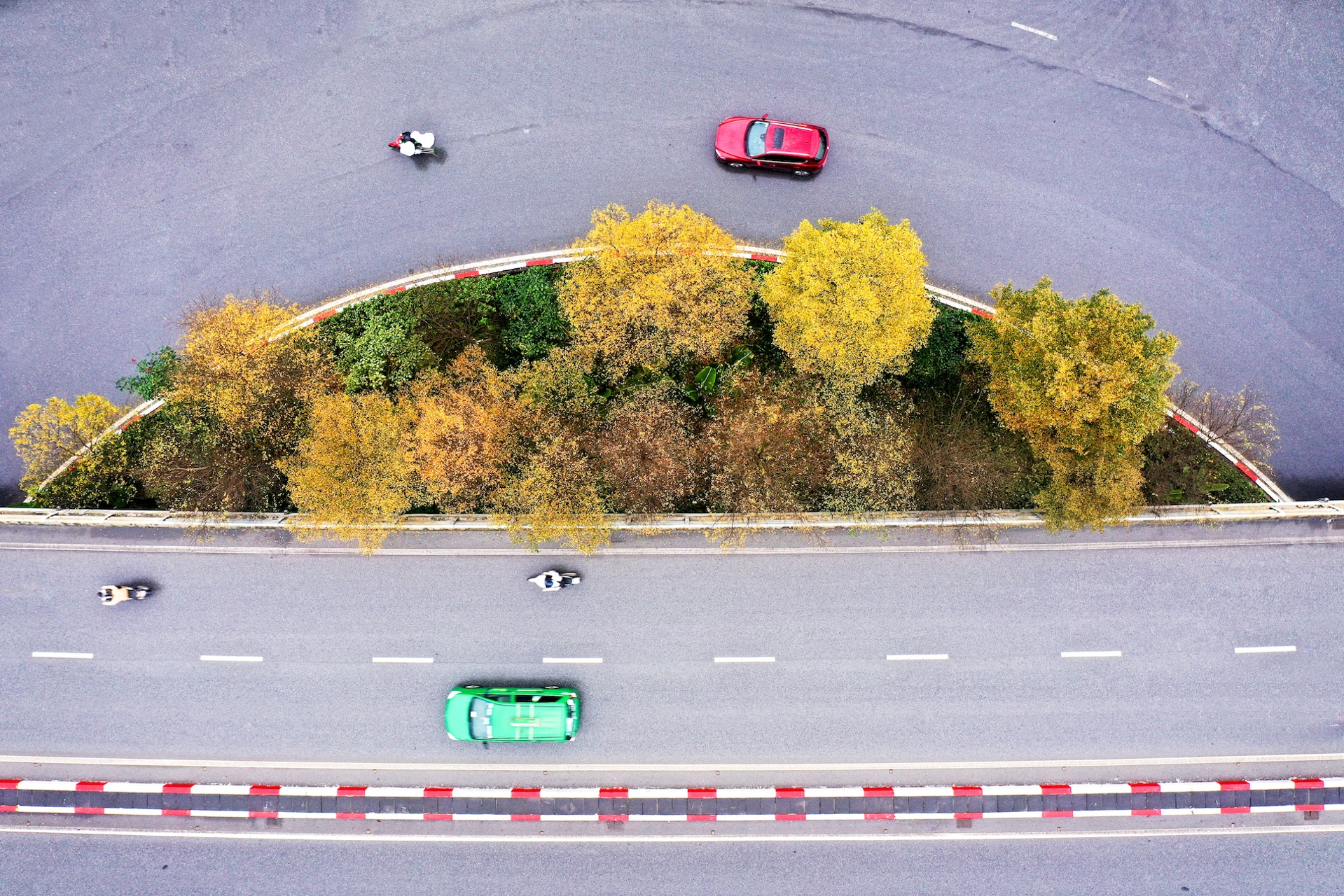 Cây ảnh 2 Cay anh 2