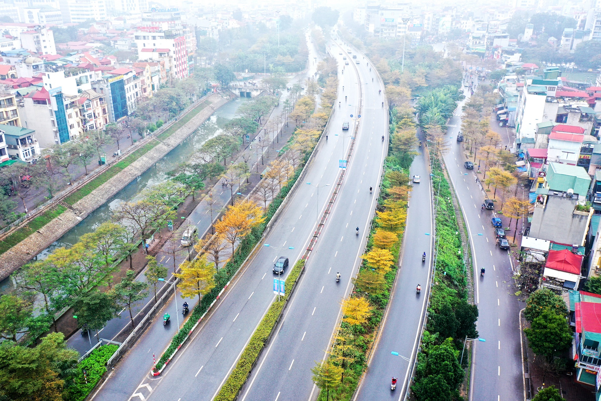 Cây ảnh 3 Cay anh 3