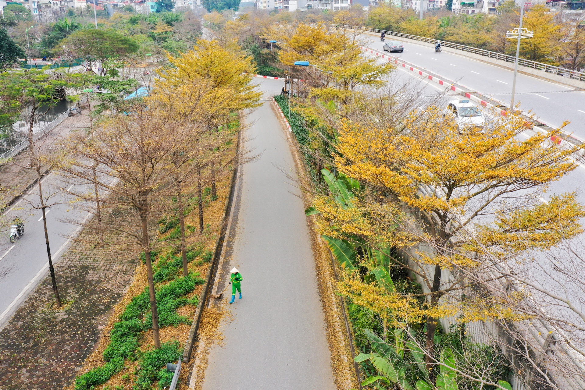 Cây ảnh 4 Cay anh 4