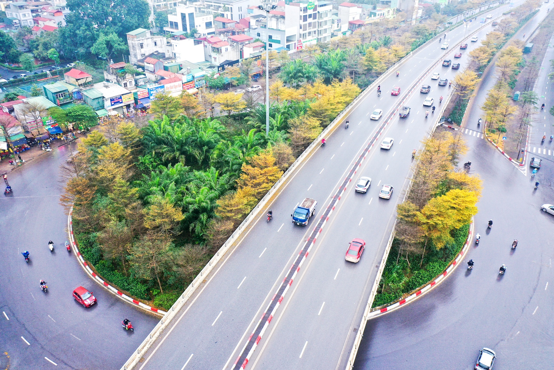 Cây ảnh 5 Cay anh 5