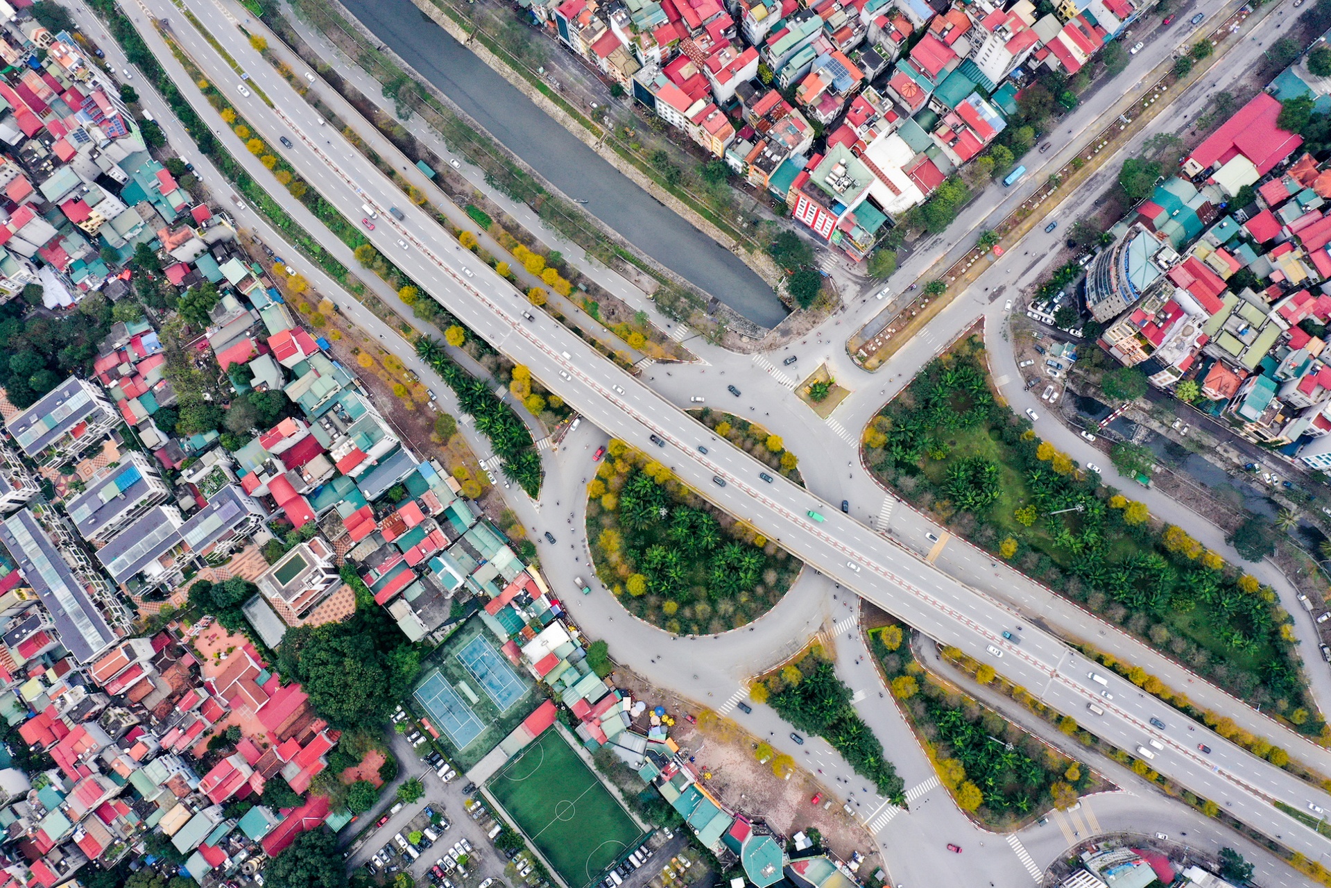 Cây ảnh 6 Cay anh 6