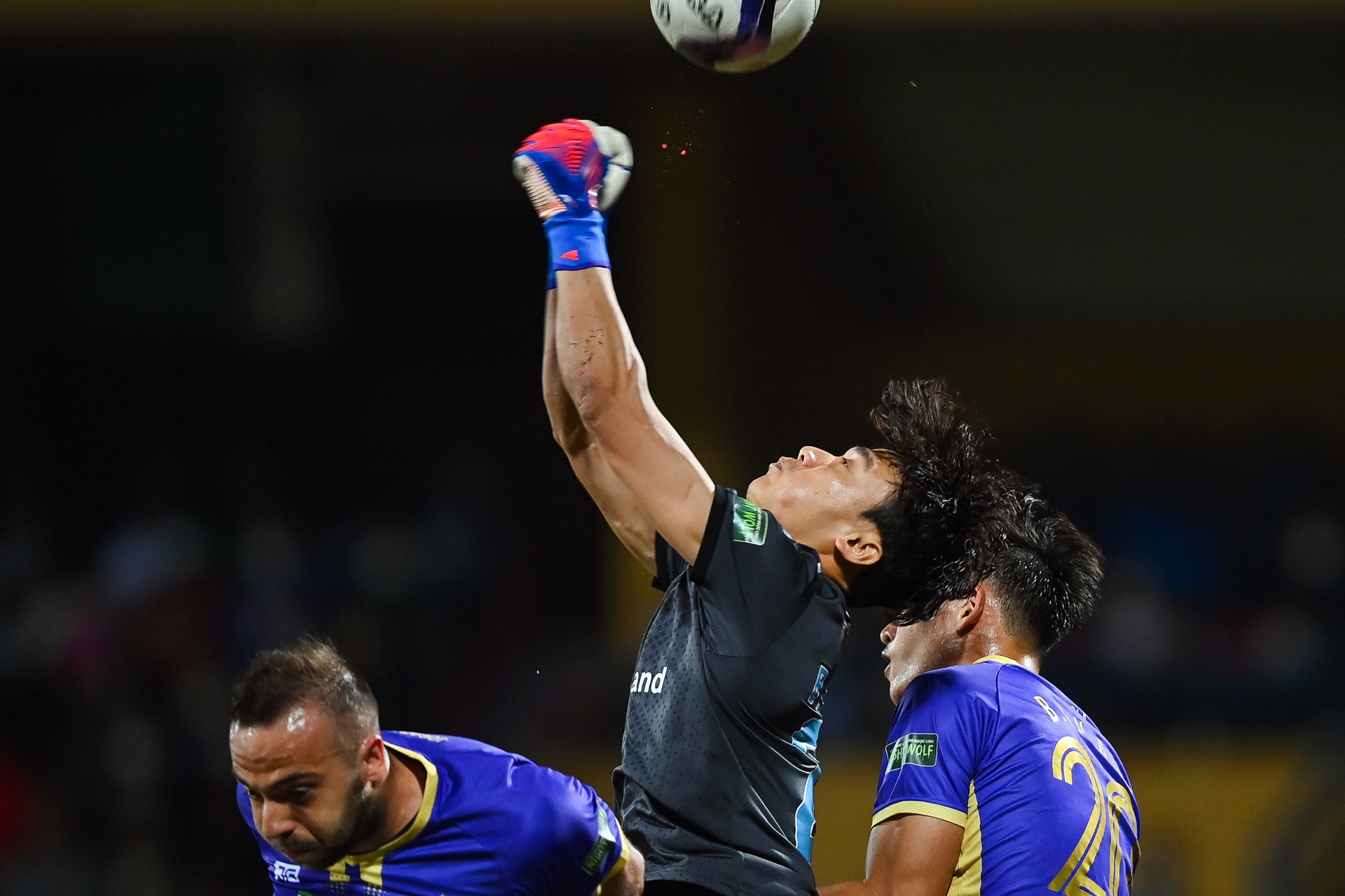 Bui Tien Dung bat chinh anh 7