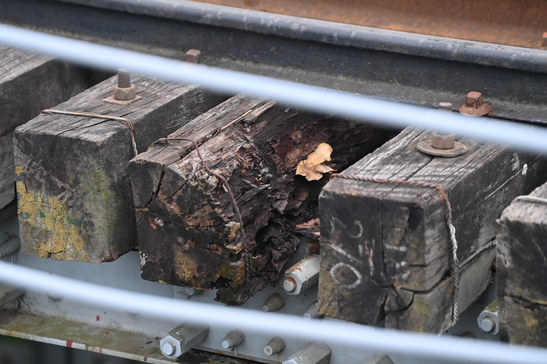 Cau Long Bien xuong cap nghiem trong anh 16