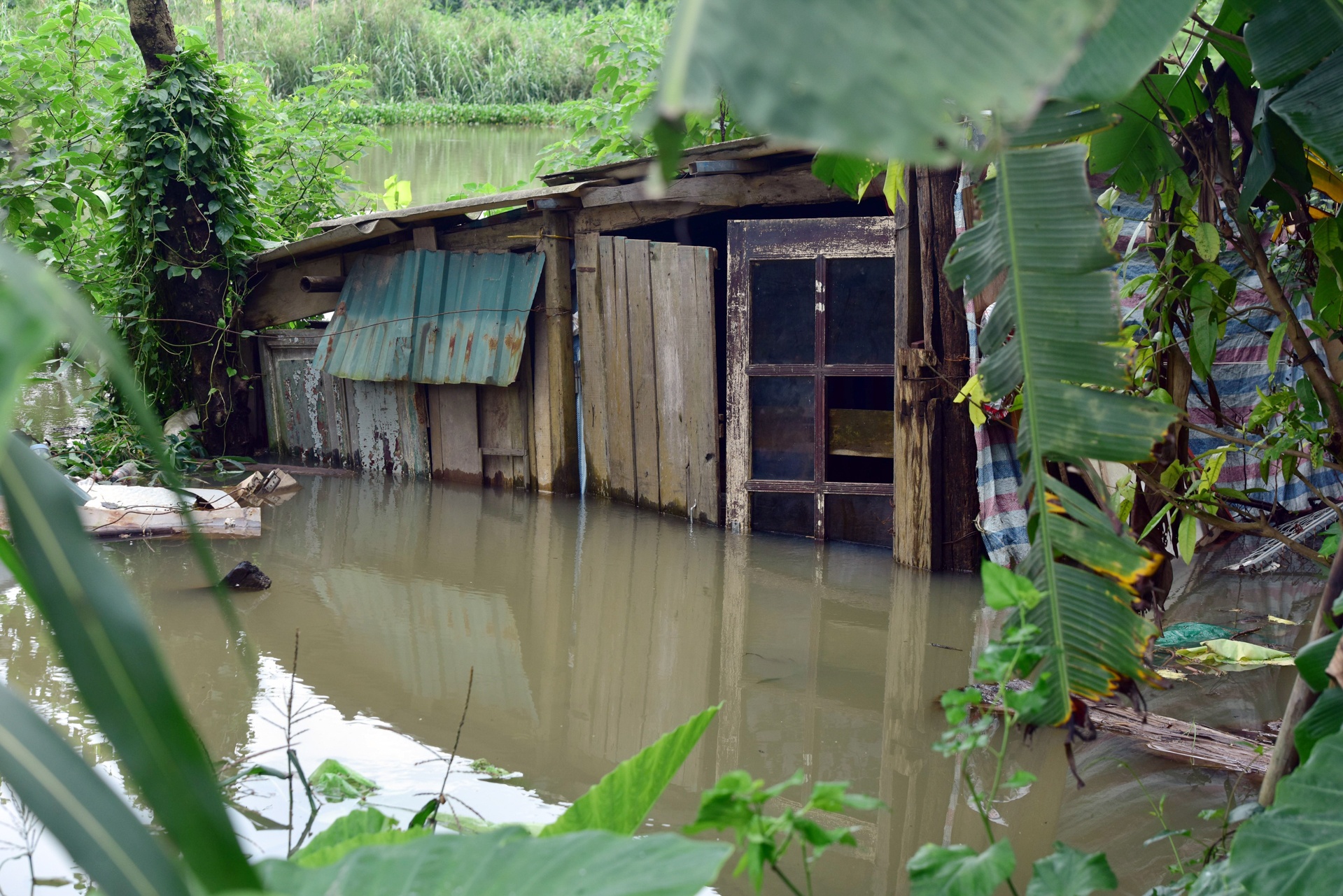 Mua lon gay ngap sau o Ha Noi anh 8