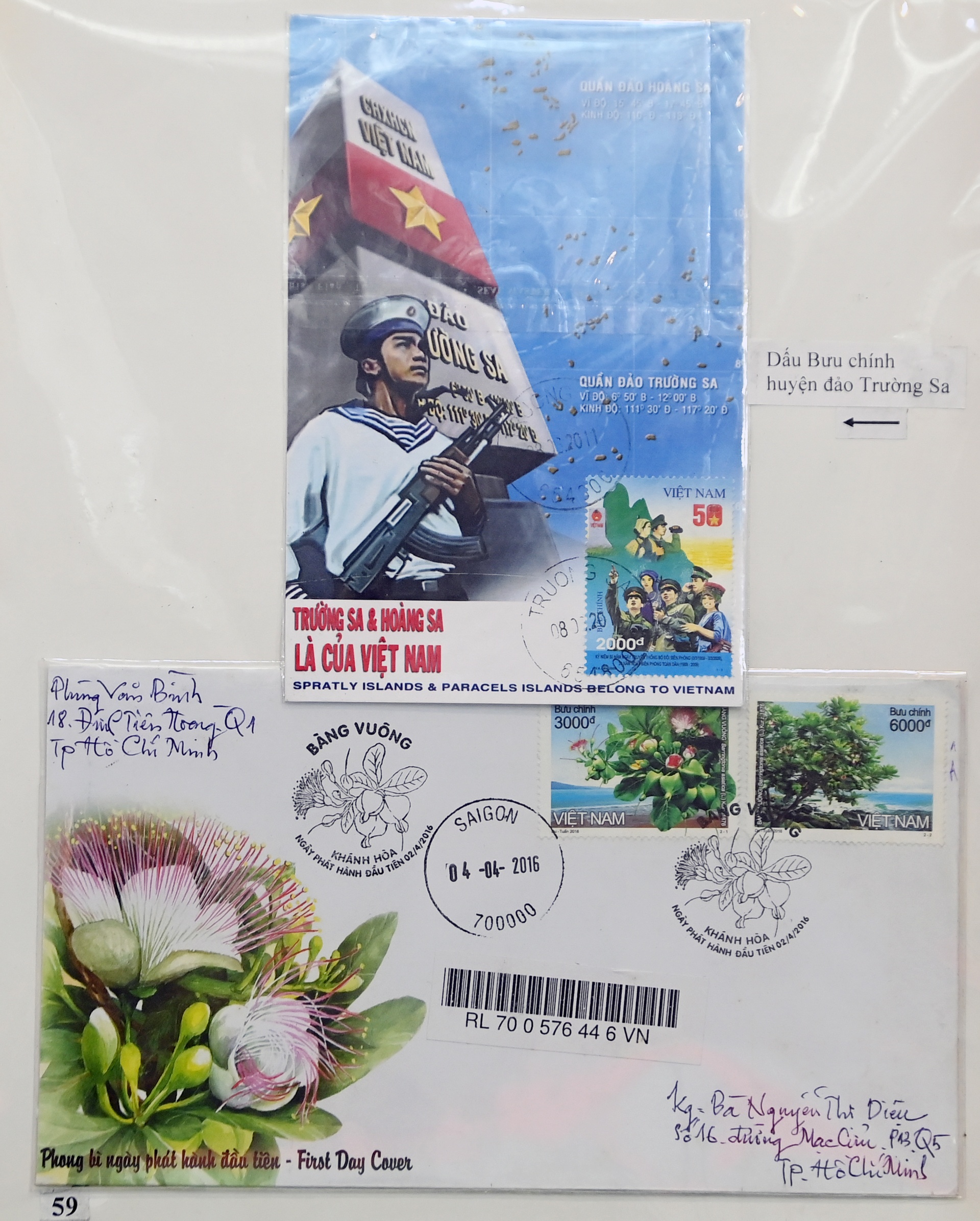 Bo suu tap tem bien dao Viet Nam anh 10