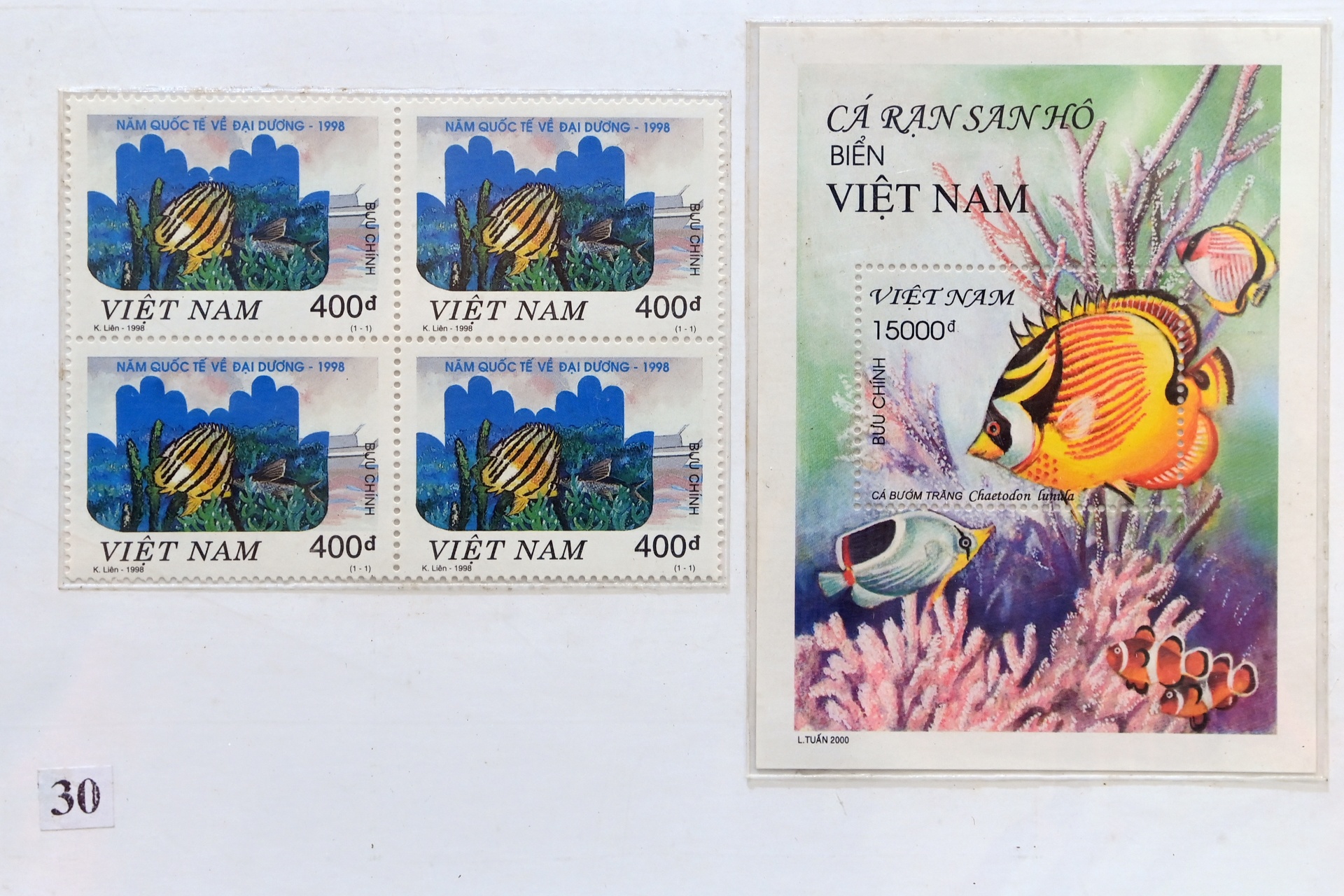 Bo suu tap tem bien dao Viet Nam anh 11