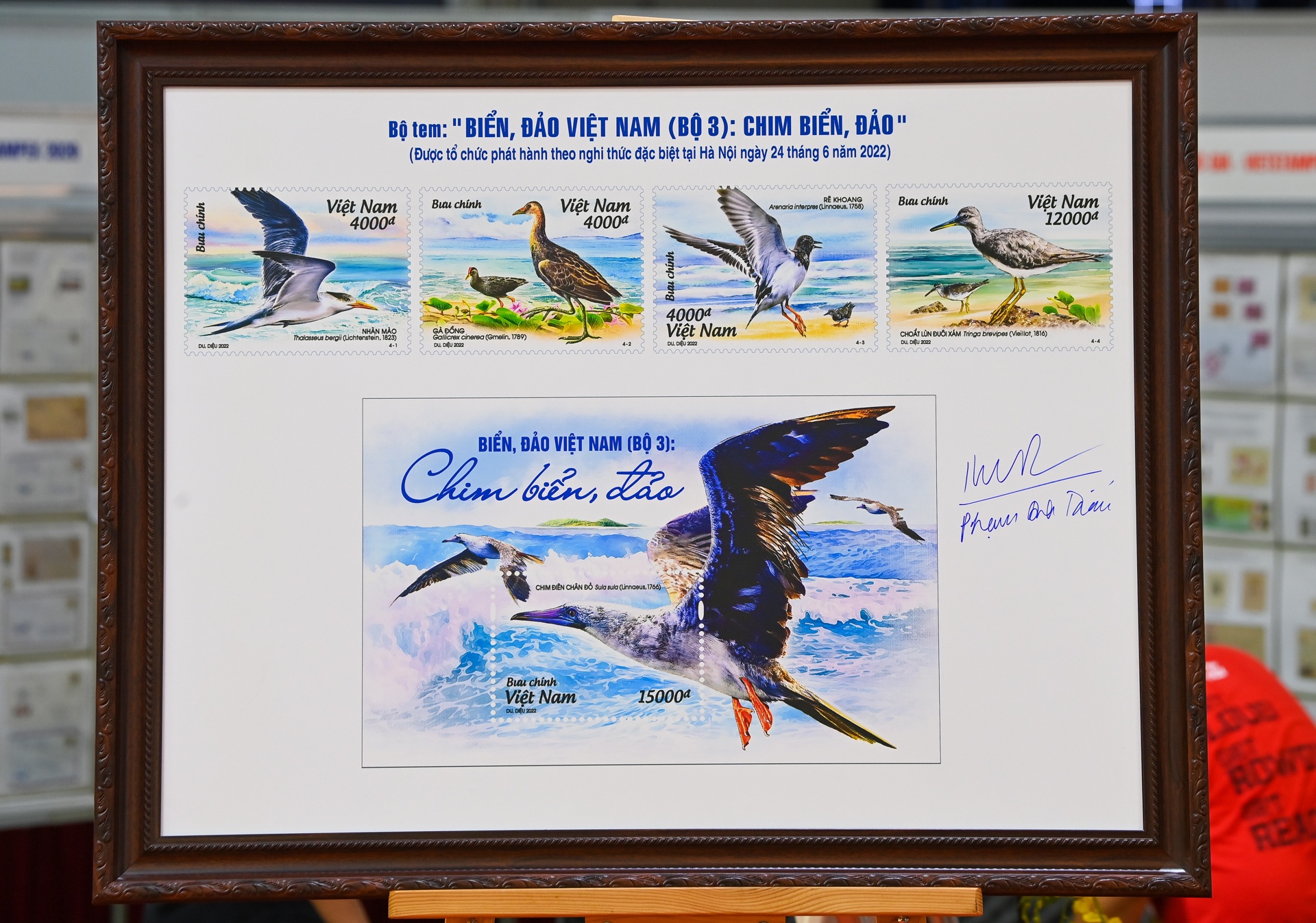 Bo suu tap tem bien dao Viet Nam anh 3