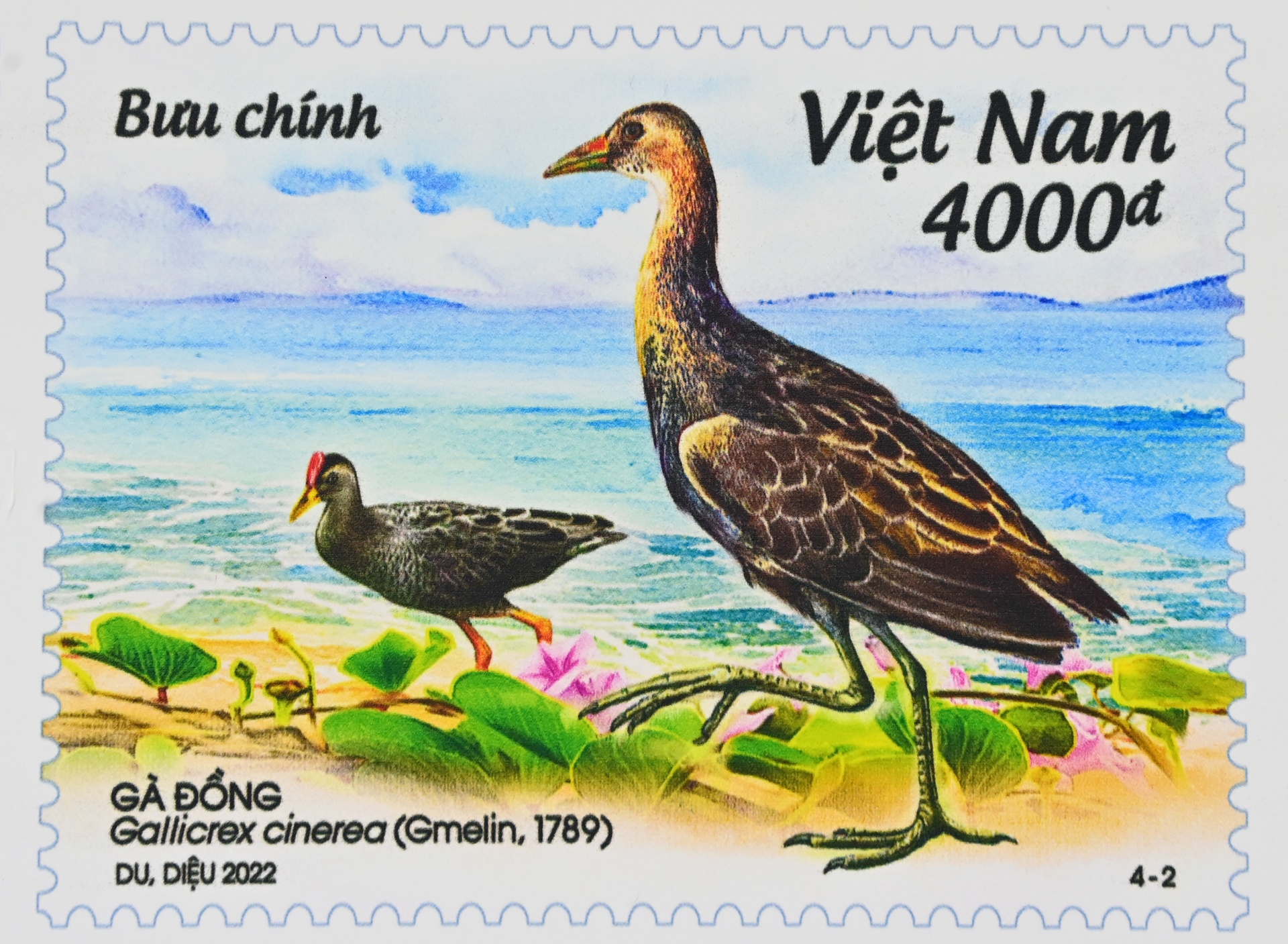 Bo suu tap tem bien dao Viet Nam anh 5