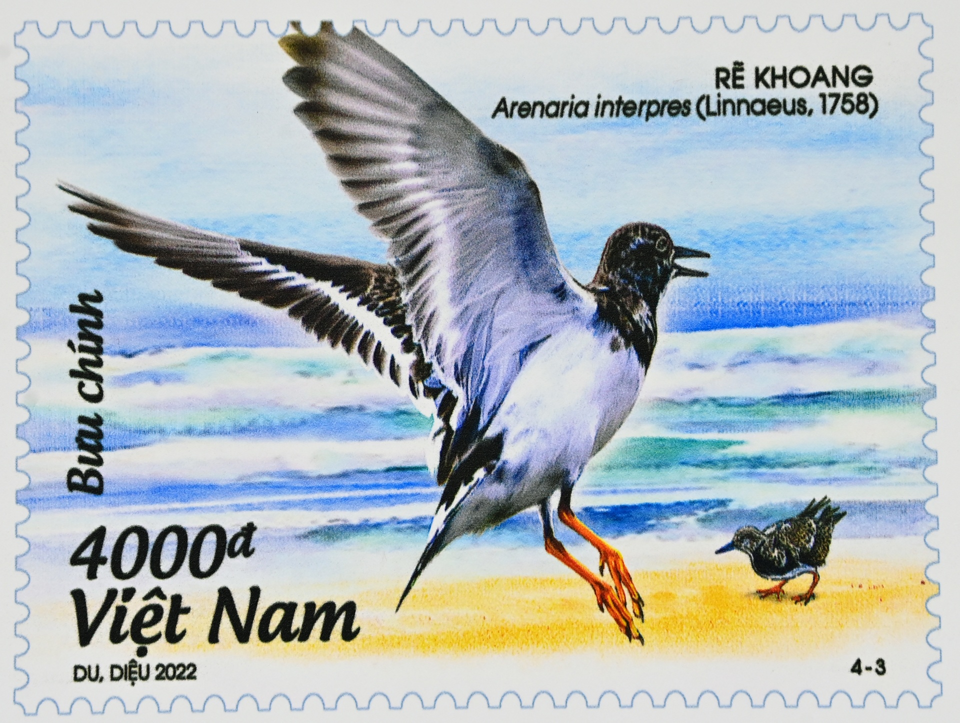 Bo suu tap tem bien dao Viet Nam anh 6