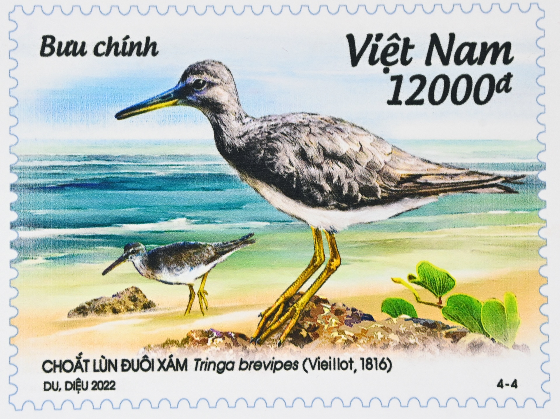 Bo suu tap tem bien dao Viet Nam anh 7