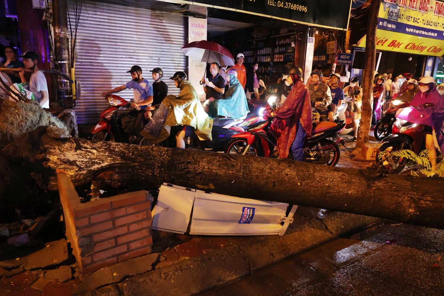 Cay do de bep oto anh 11