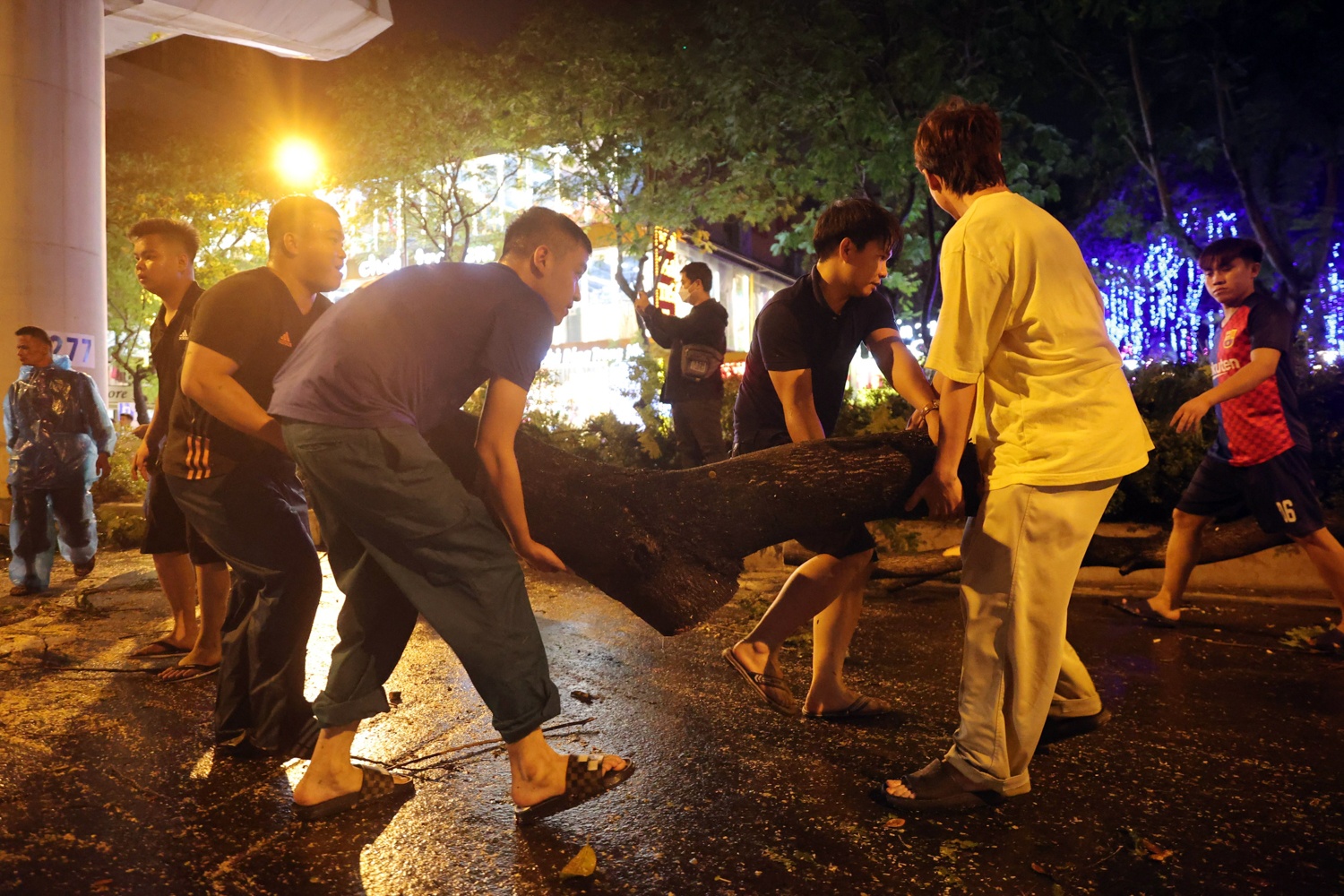 Cay do de bep oto anh 12