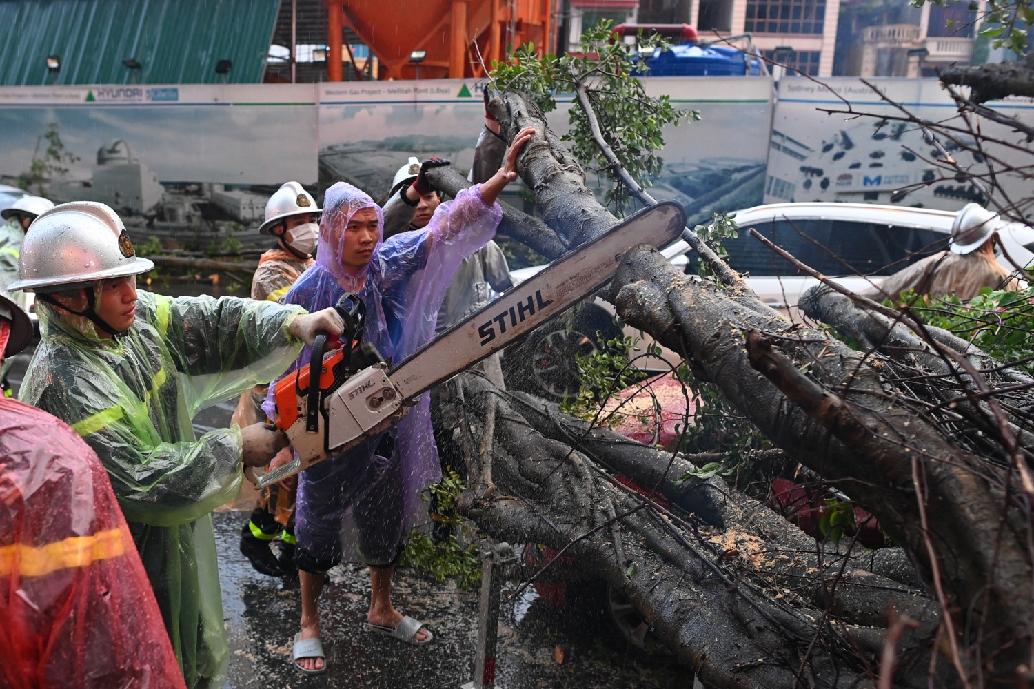 Cay do de bep oto anh 2