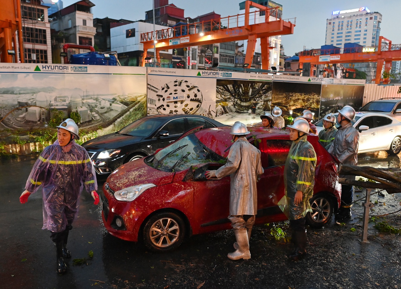 Cay do de bep oto anh 7