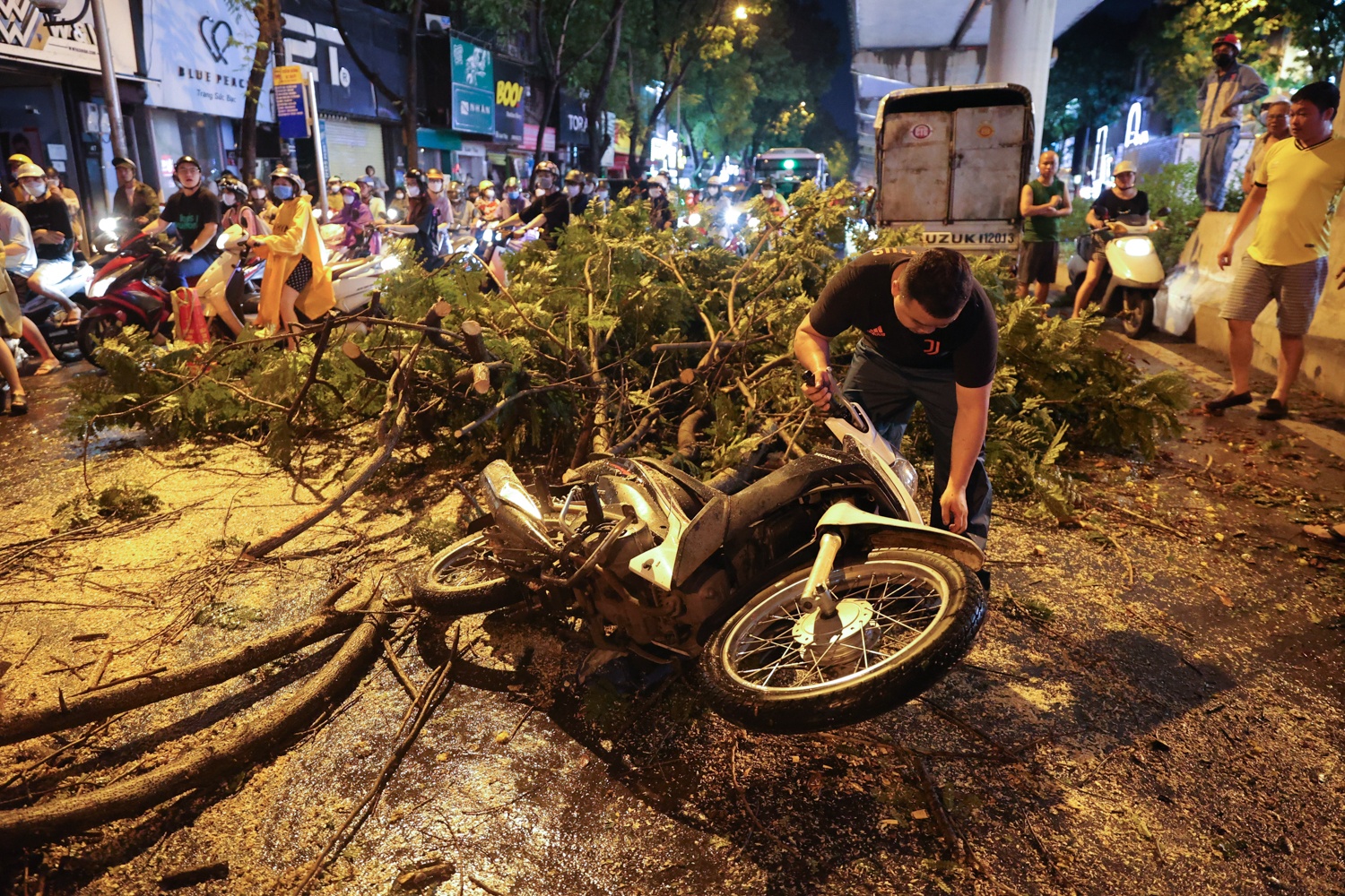 Cay do de bep oto anh 8