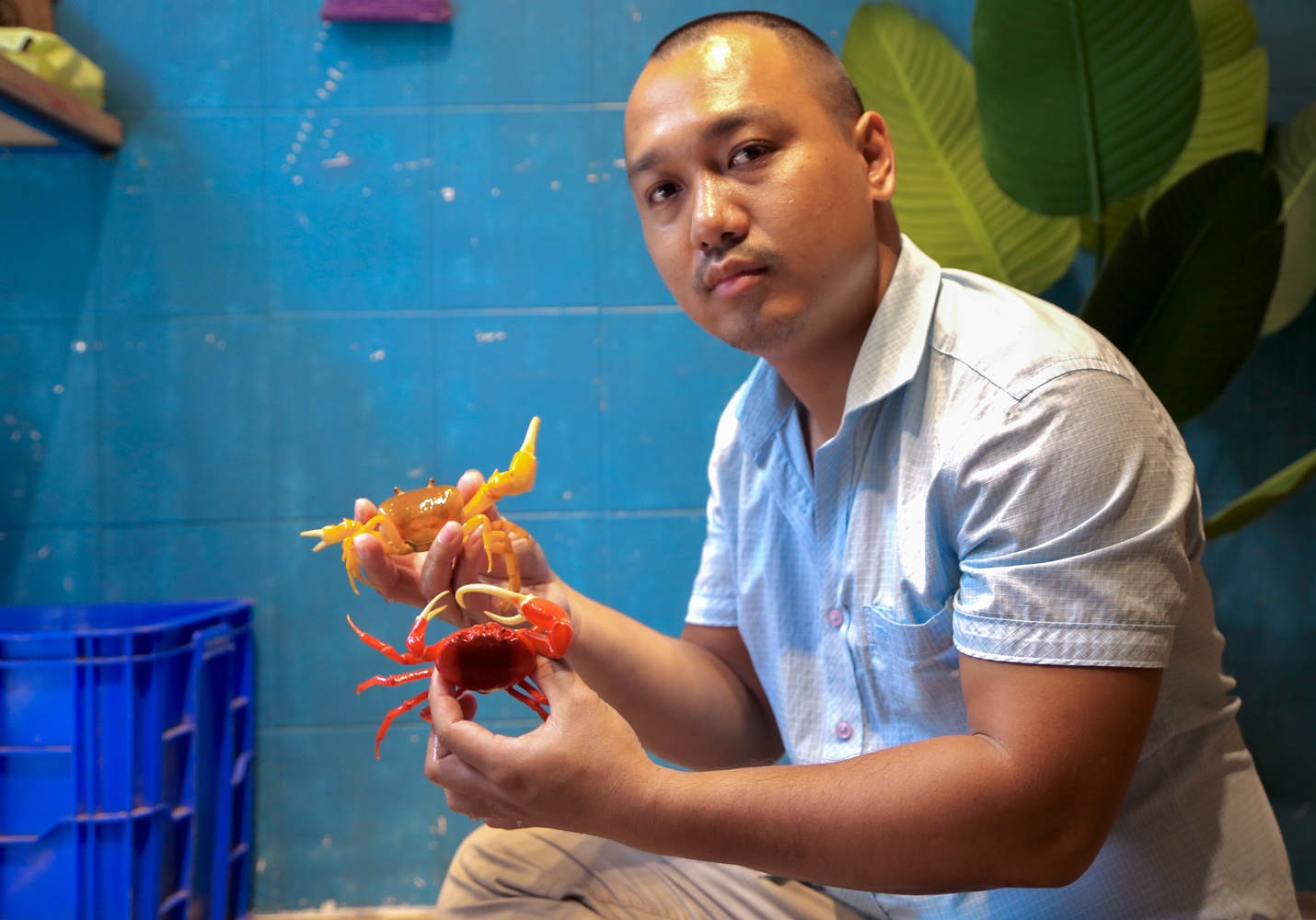 Kiem tram trieu nho nuoi cua nhieu mau anh 11