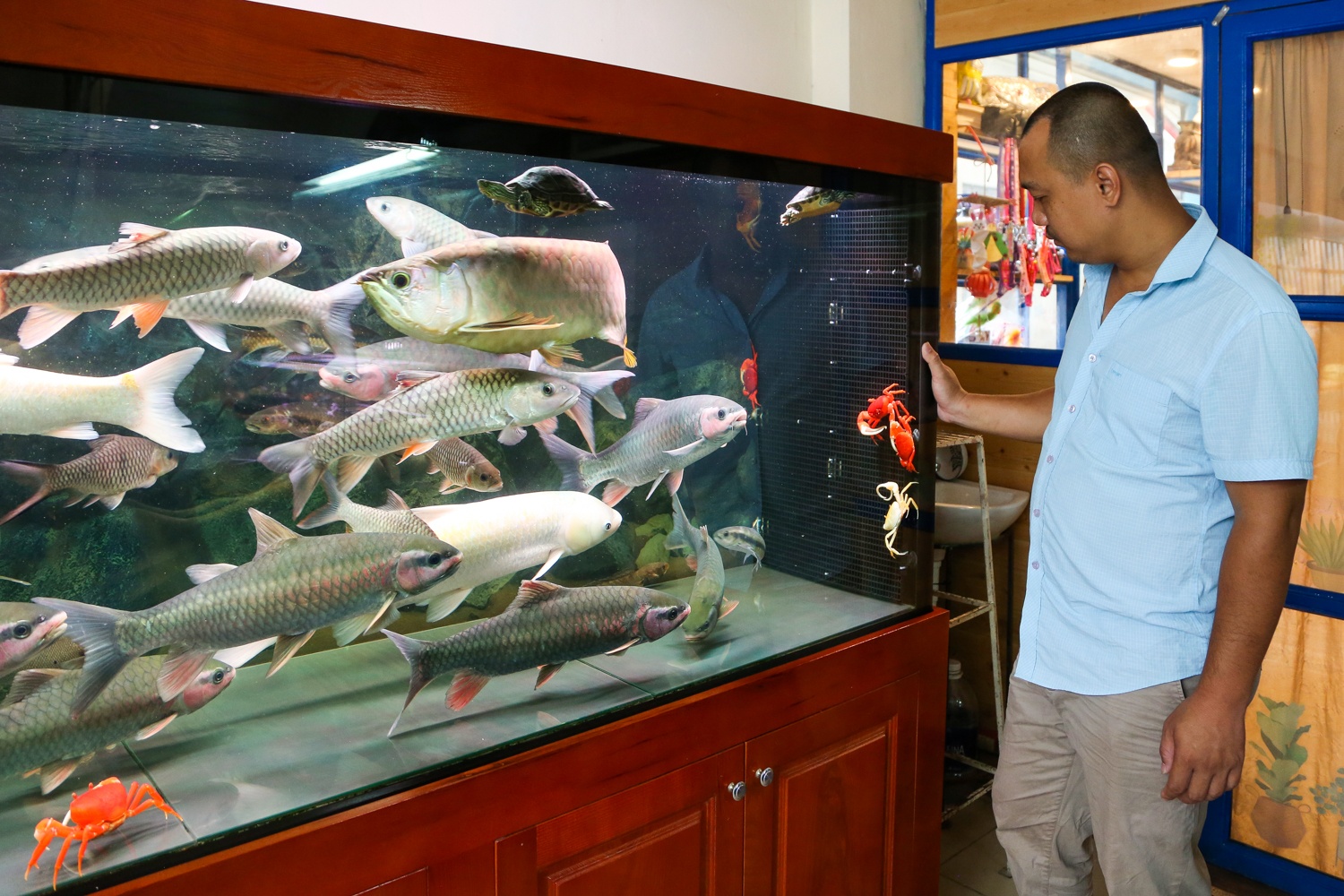 Kiem tram trieu nho nuoi cua nhieu mau anh 7