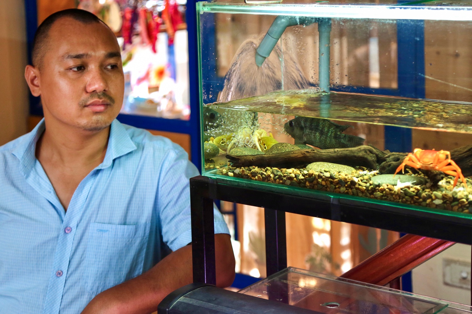 Kiem tram trieu nho nuoi cua nhieu mau anh 8