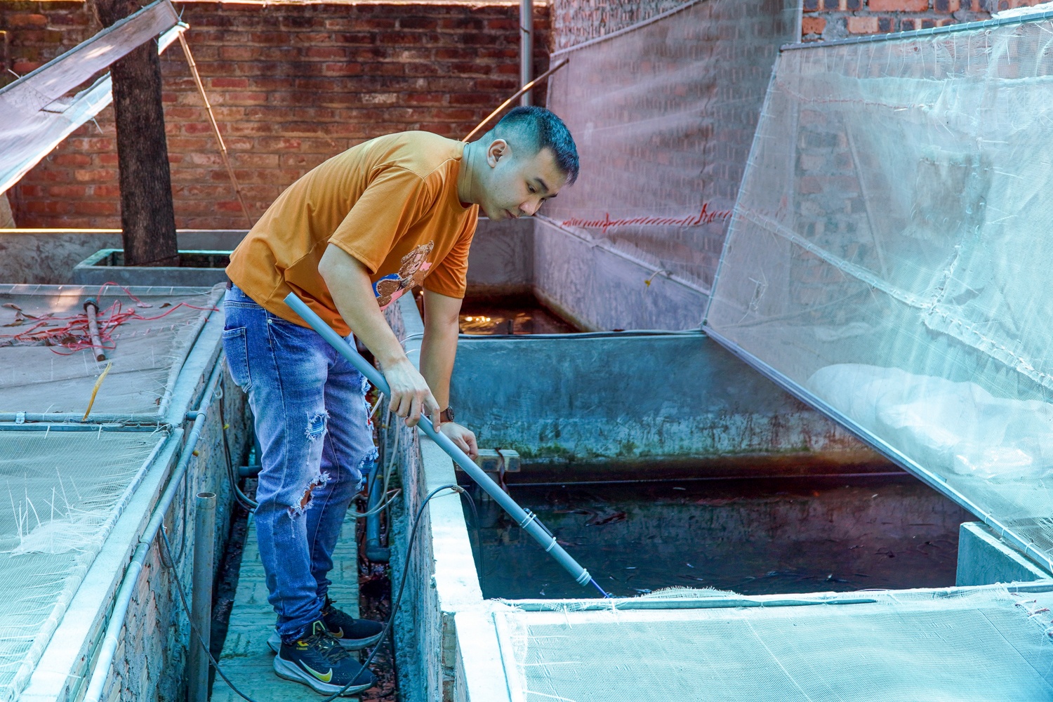 Kiem hang tram trieu nho nuoi ca cuong anh 1