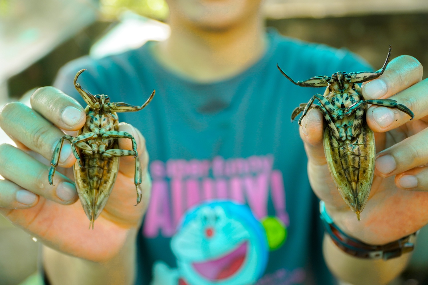 Kiem hang tram trieu nho nuoi ca cuong anh 2