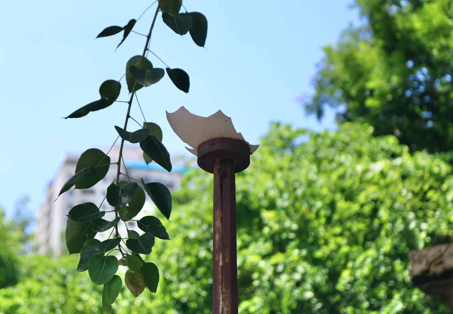 Cong vien Bac Linh Dam anh 11