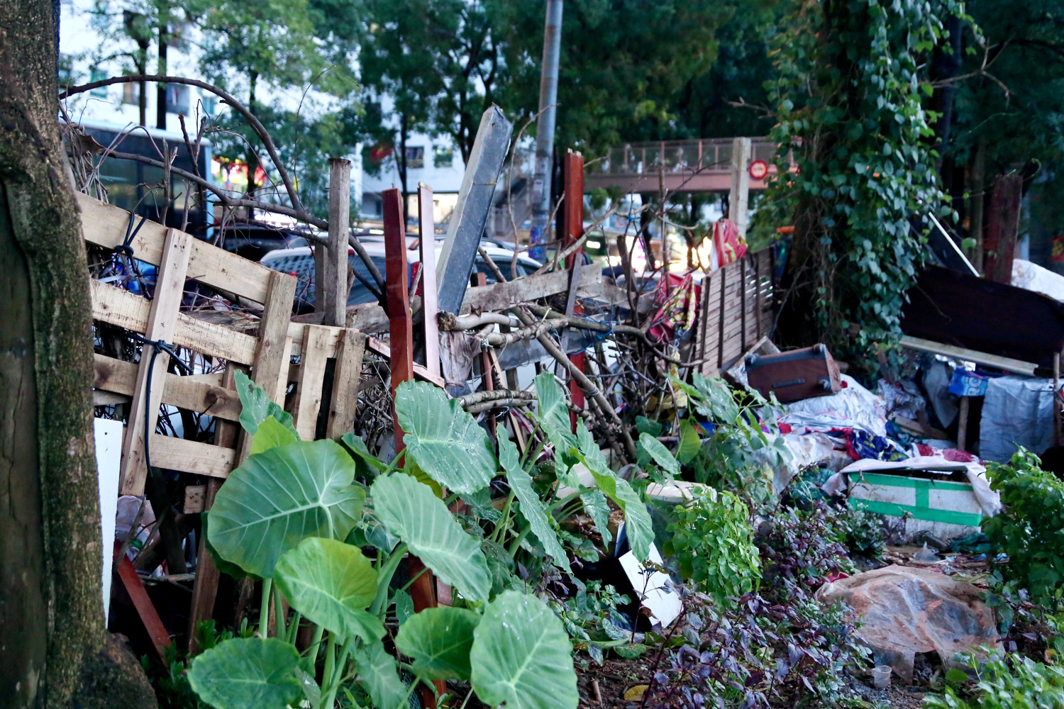Cong vien Bac Linh Dam anh 15