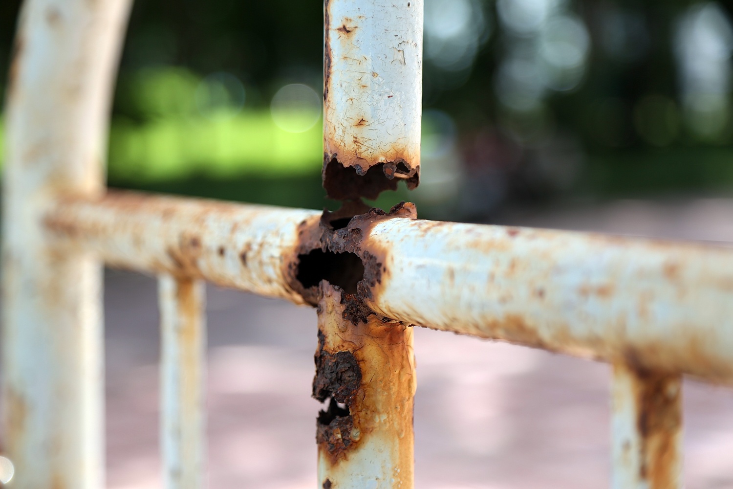 Cong vien Bac Linh Dam anh 4