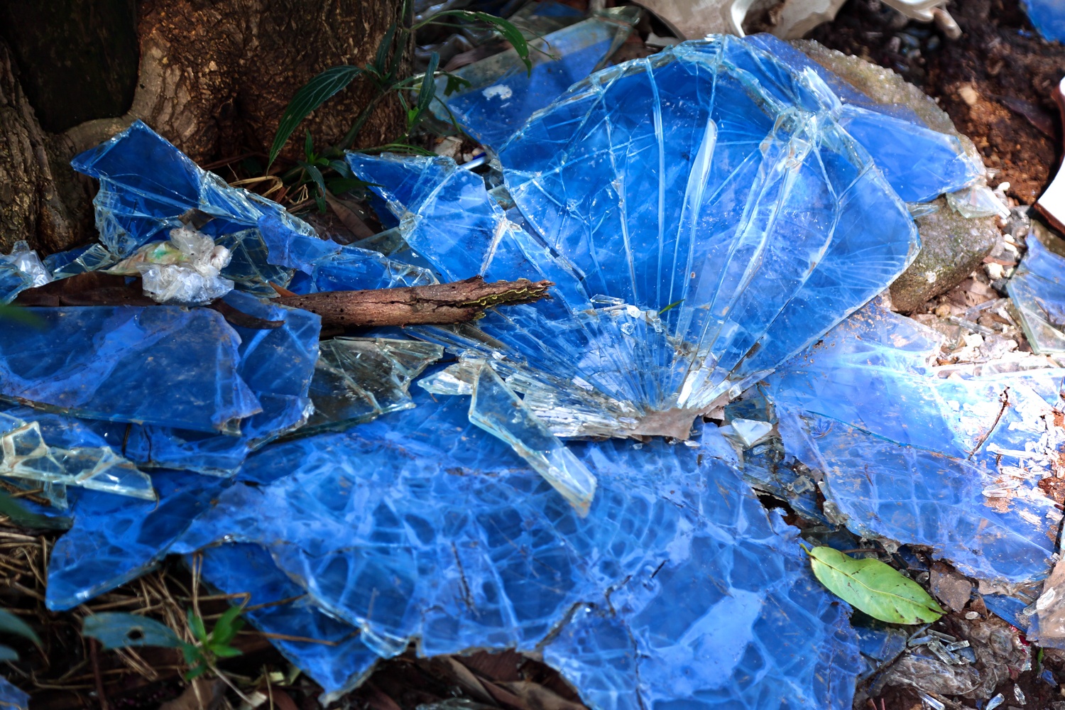 Cong vien Bac Linh Dam anh 5