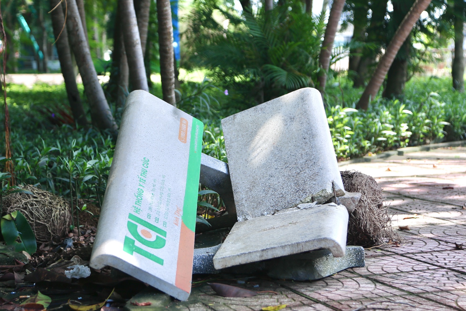 Cong vien Bac Linh Dam anh 8