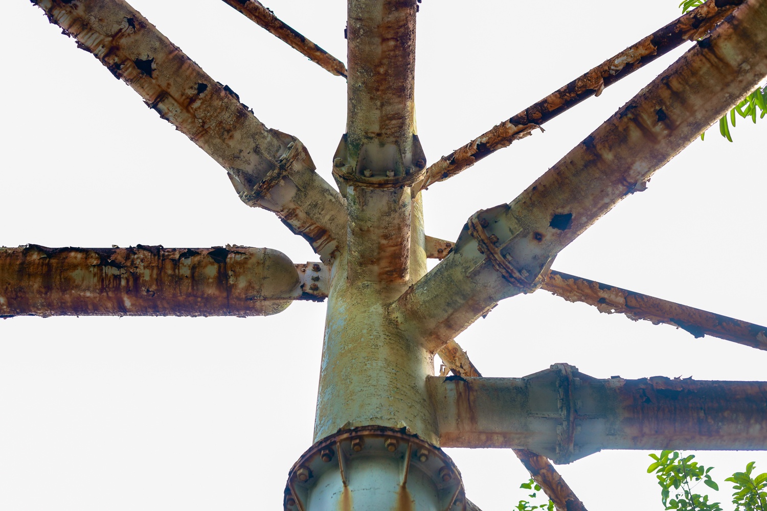 Cong vien bo hoang anh 10