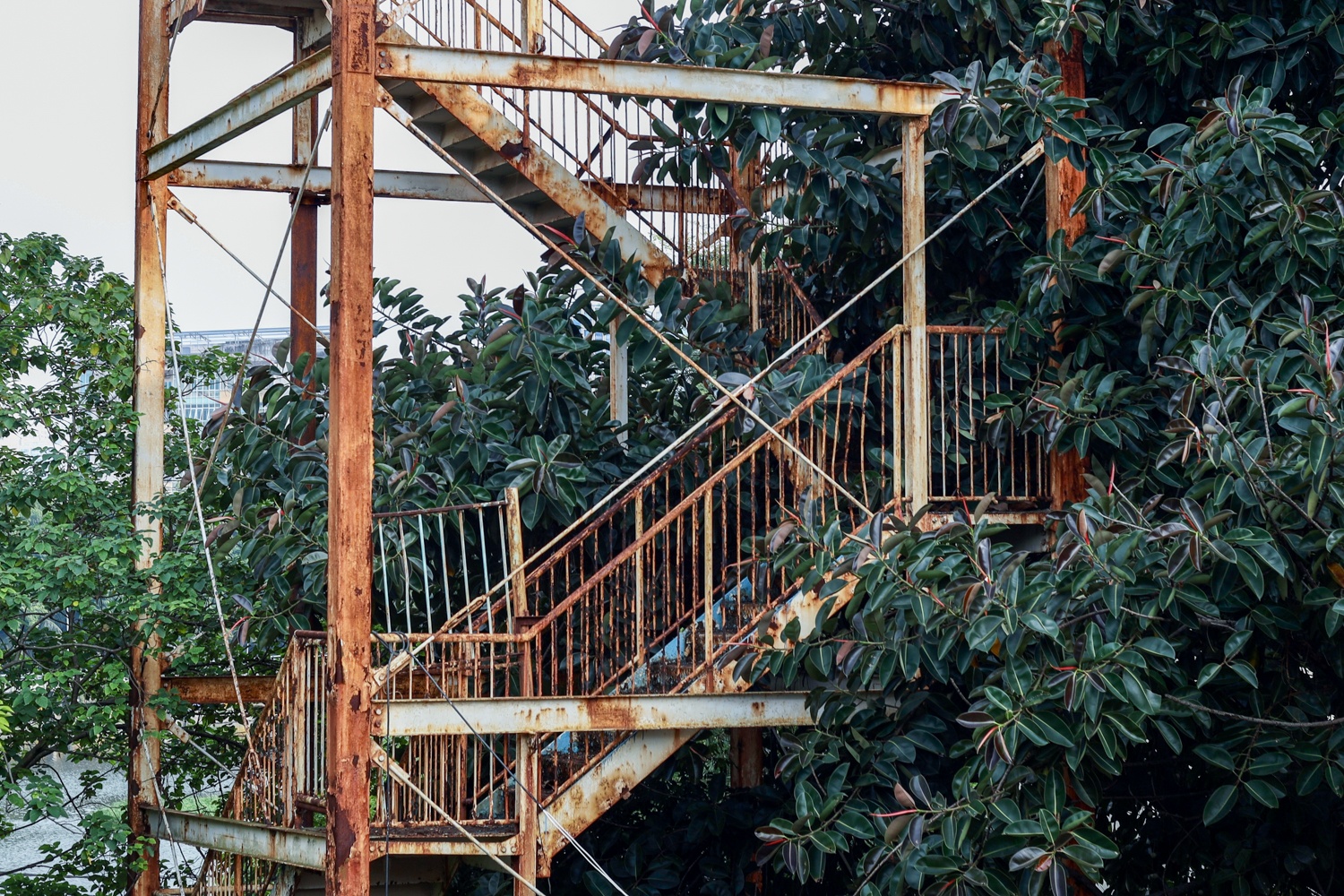 Cong vien bo hoang anh 12