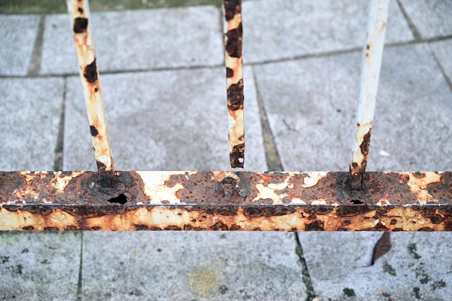 Cong vien xuong cap anh 11