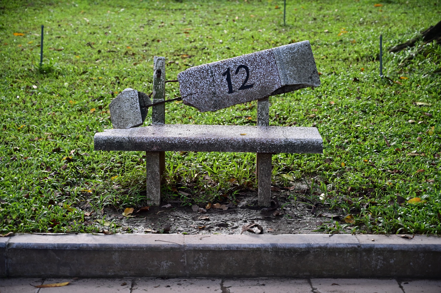 Cong vien xuong cap anh 14