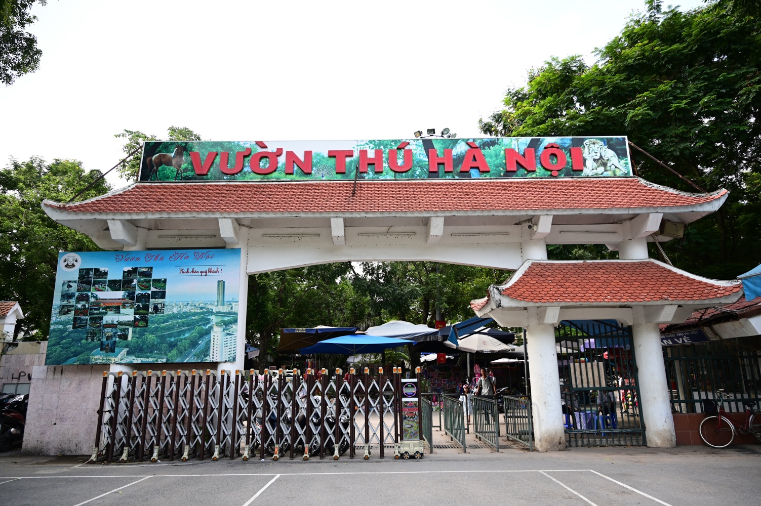 Cong vien xuong cap anh 2