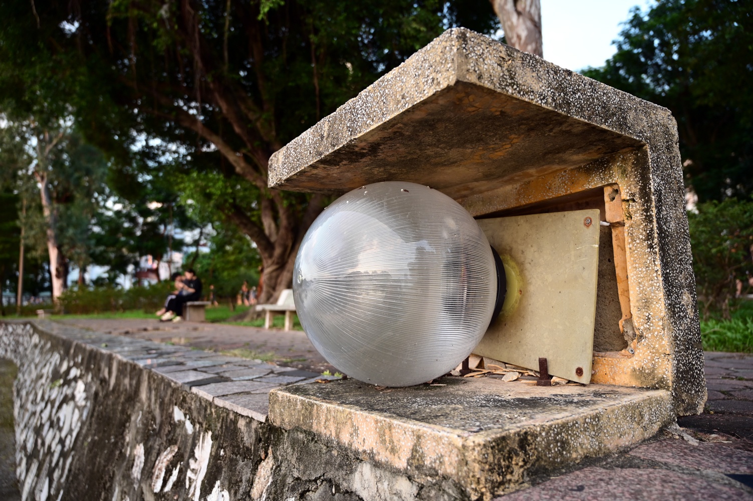 Cong vien xuong cap anh 8