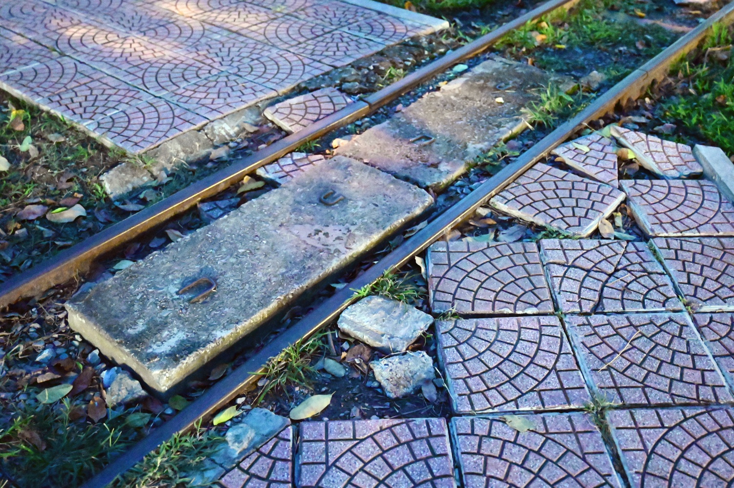 Cong vien xuong cap anh 9