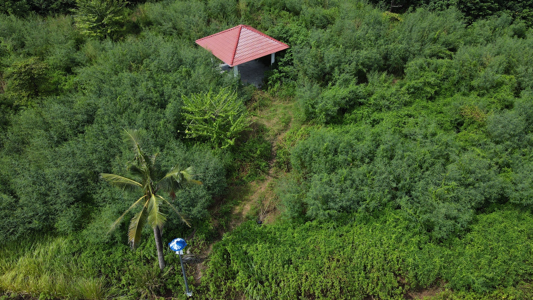 Cong vien bo hoang anh 12