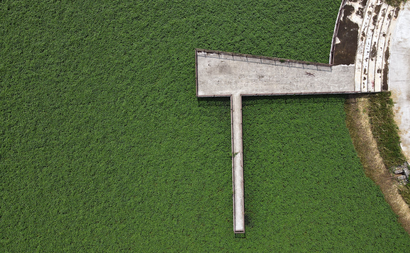 Cong vien bo hoang anh 13